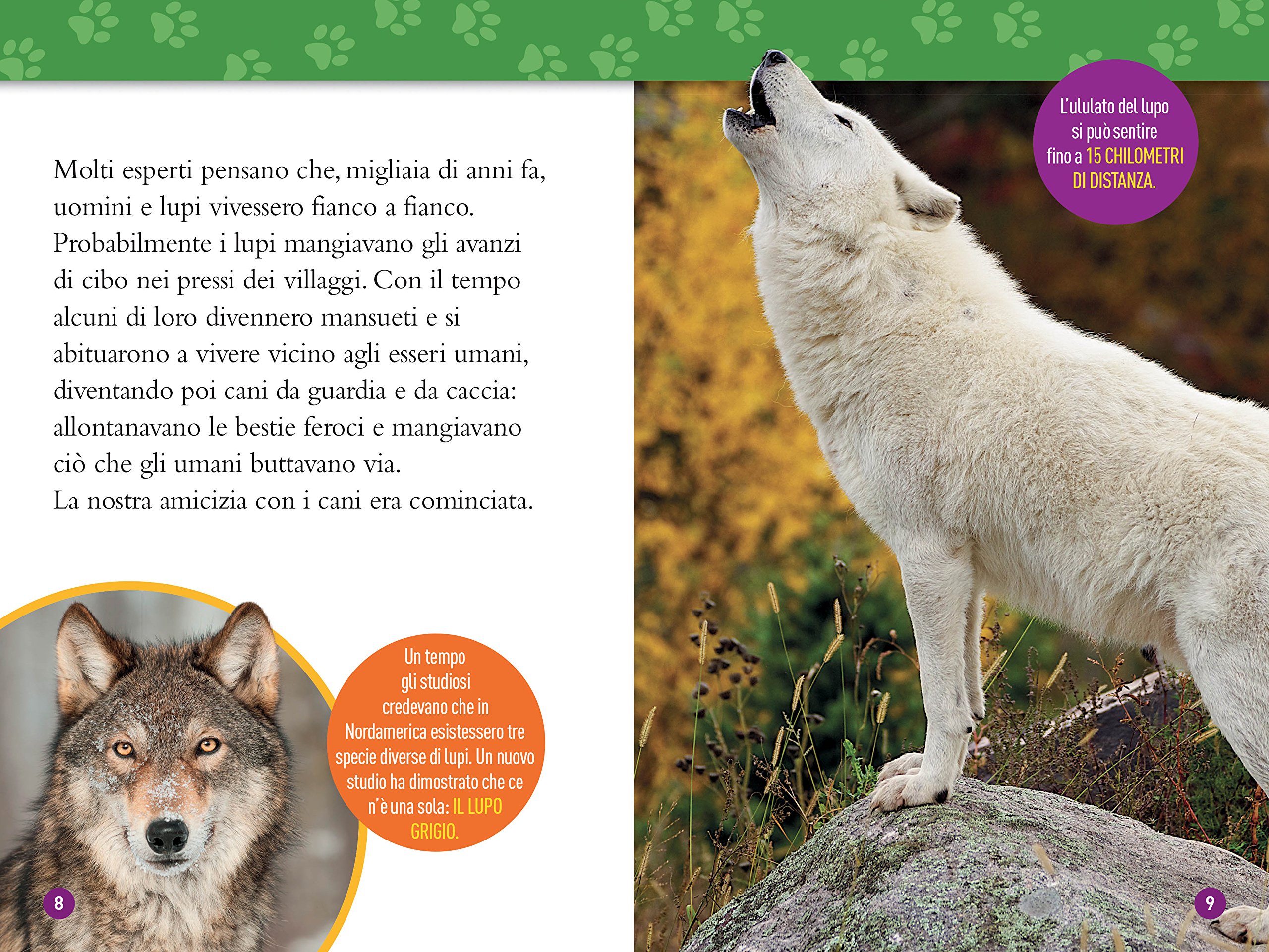 National Geographic Kids – Libri Cani Livello 4 libro per bambini