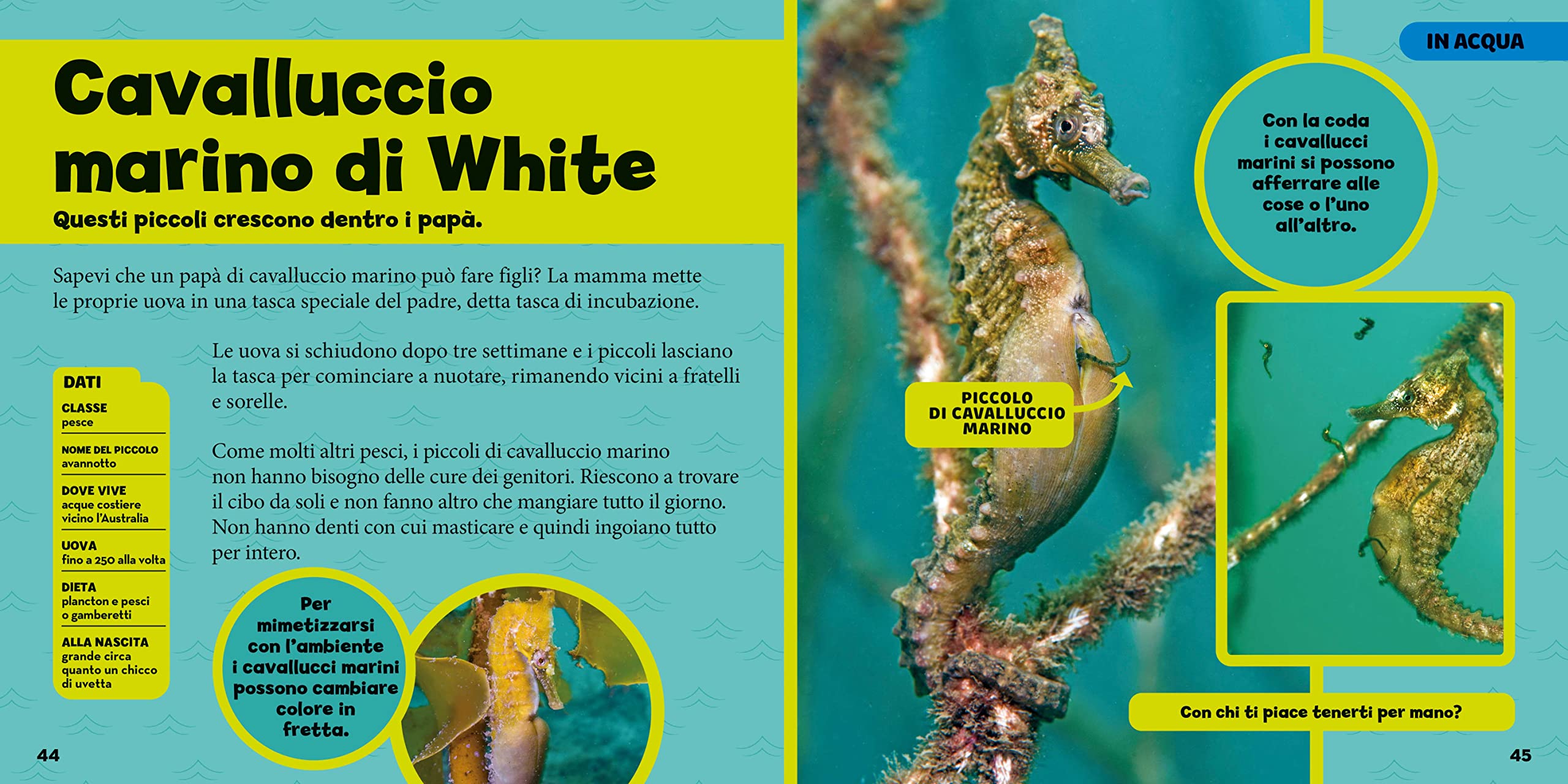 National Geographic Kids – Libri Il primo grande libro dei cuccioli libro a colori