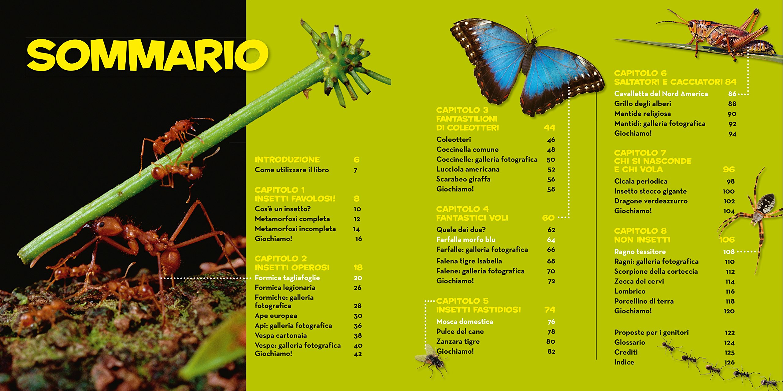 National Geographic Kids – Libri Il primo grande libro degli insetti libro a colori