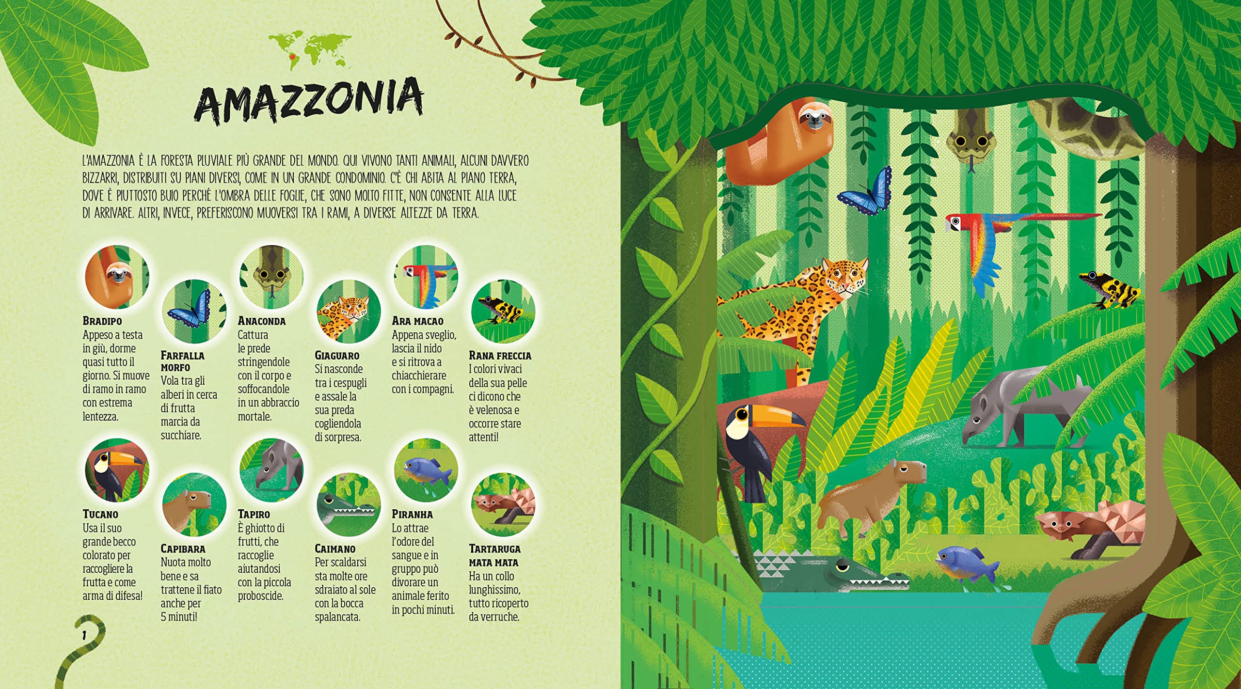 National Geographic Kids Nascosti nella giungla libro cerca animali con torcia magica
