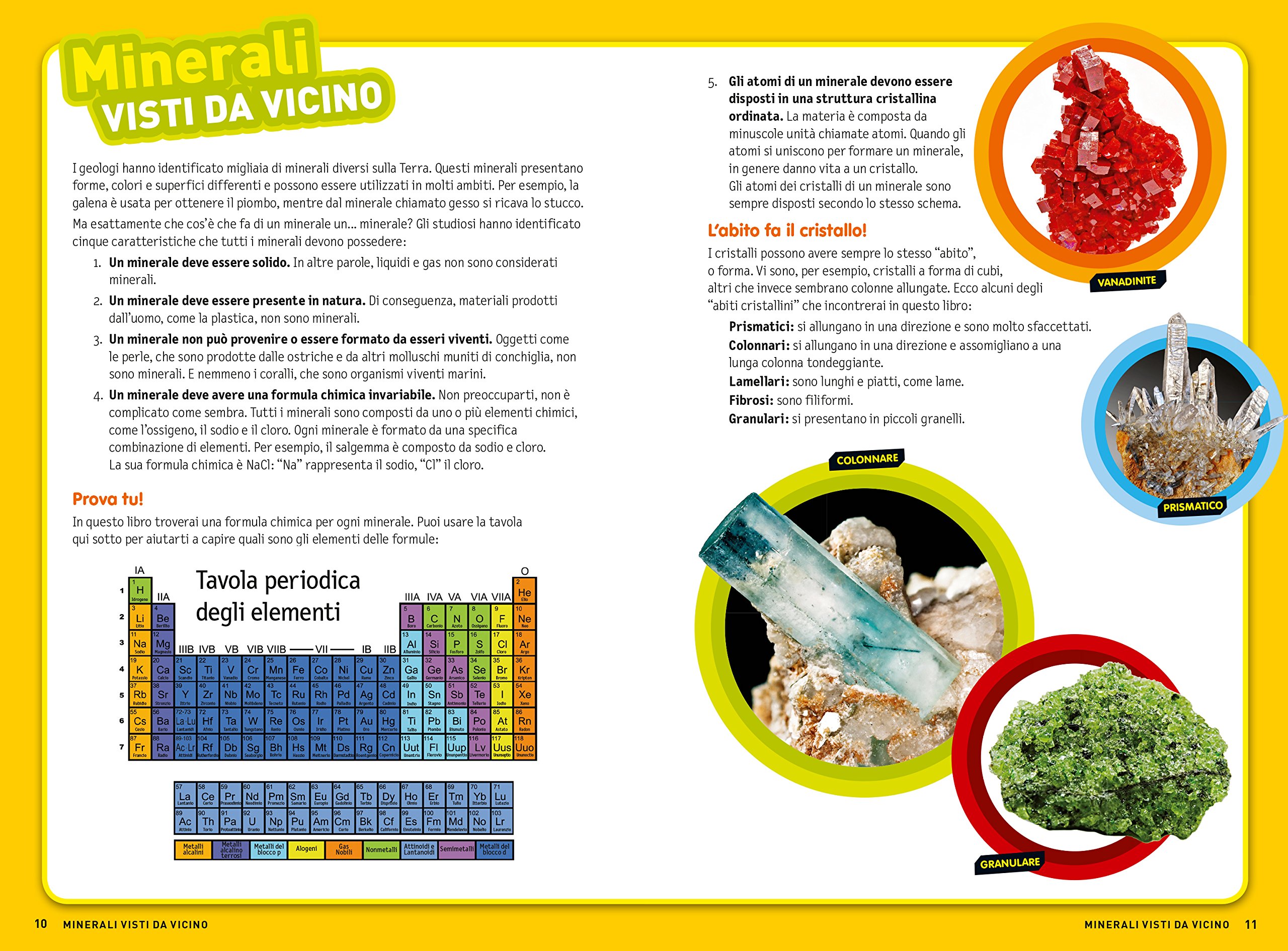 National Geographic Kids – Libri Rocce e minerali. Cerca l'avventura! libro a colori