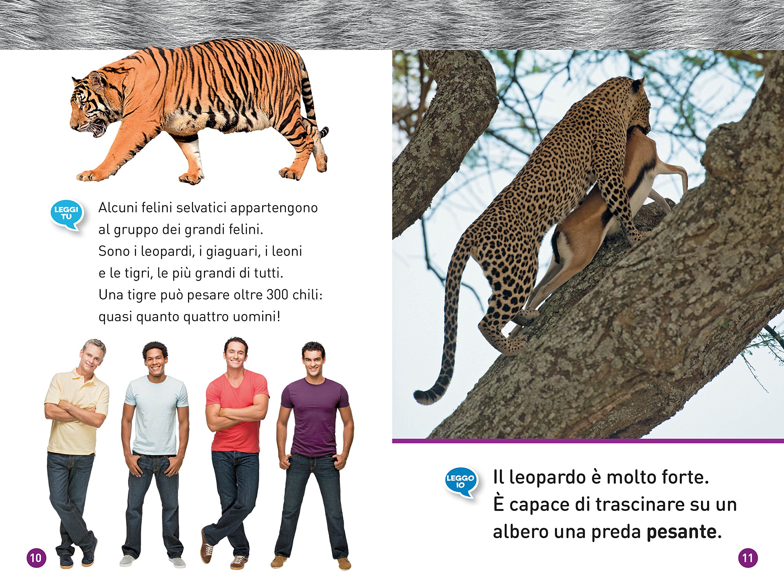 National Geographic Kids – Libri Felini. Livello 1 libro a colori