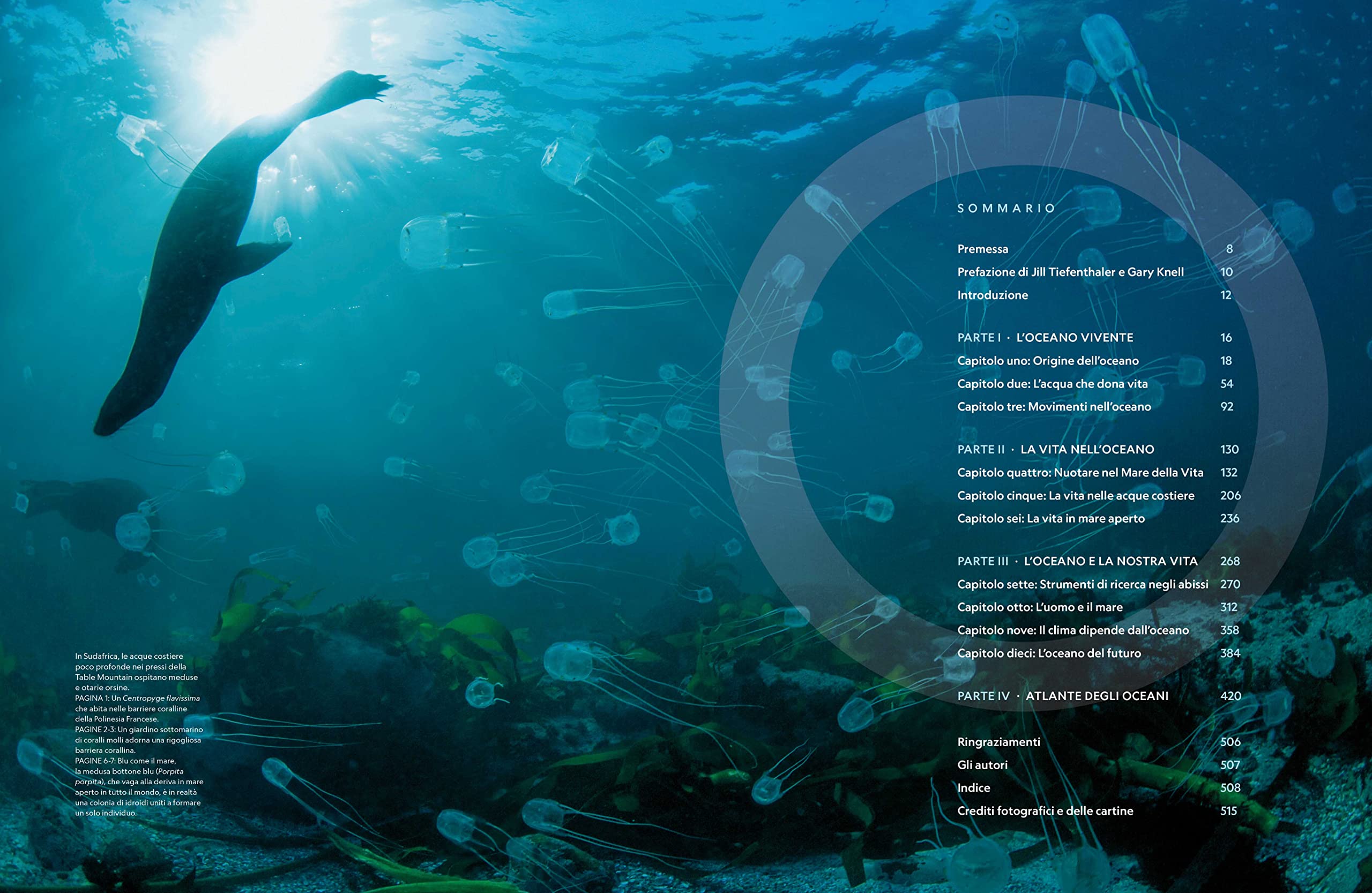 National Geographic – Libri NATURA E POPOLI - Oceani: L'ultima odissea libro illustrato