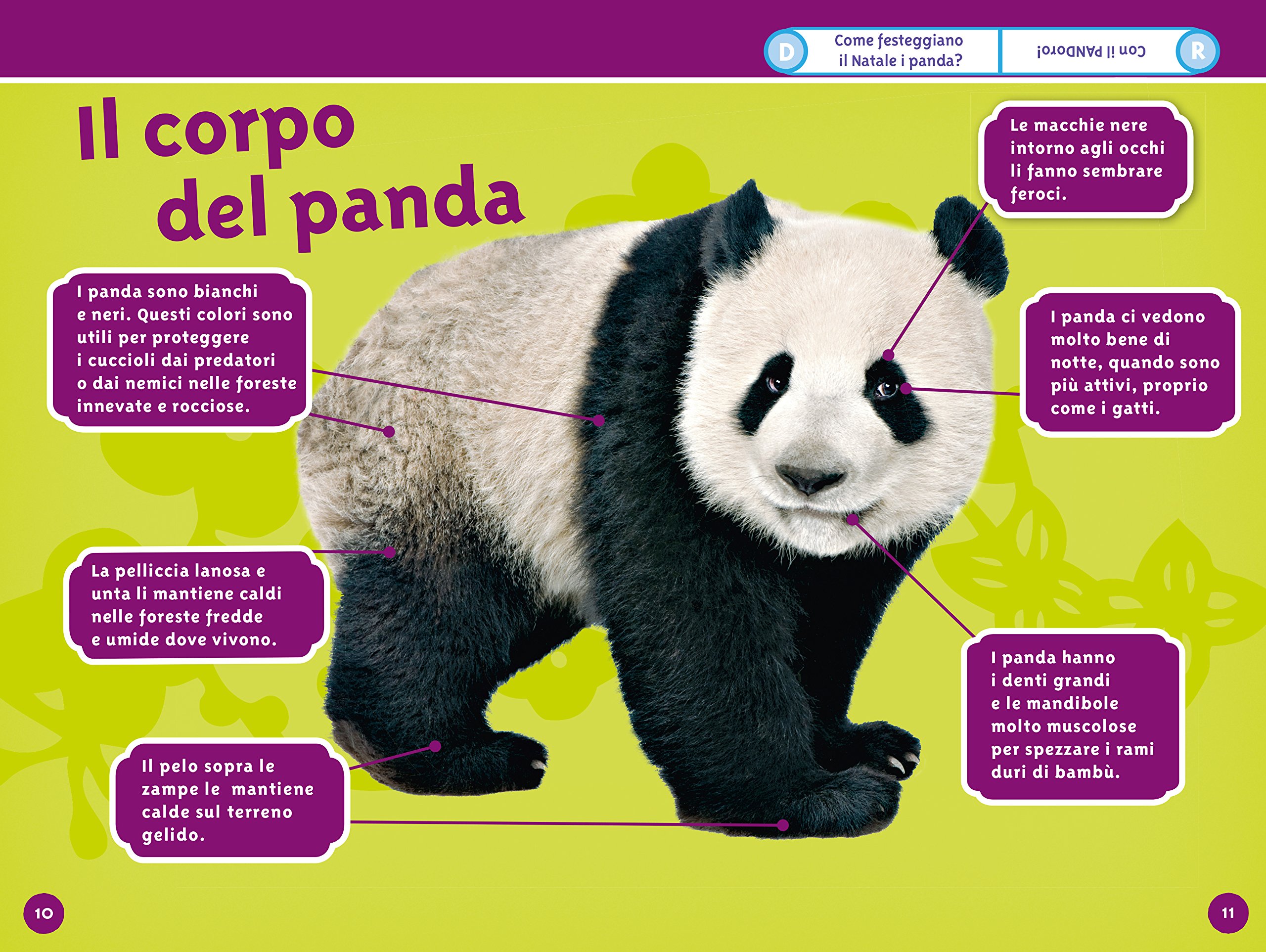 National Geographic Kids – Libri Panda. Livello 3. Ediz. a colori libro