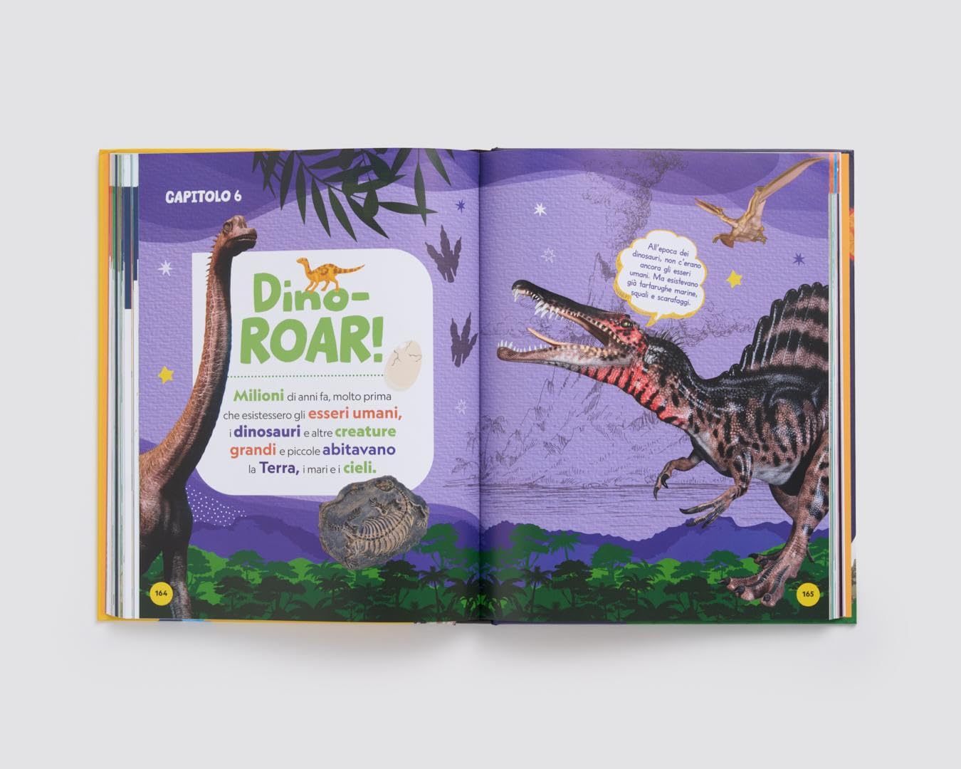 National Geographic Kids – Libri La mia prima grande enciclopedia. Ediz. a colori libro