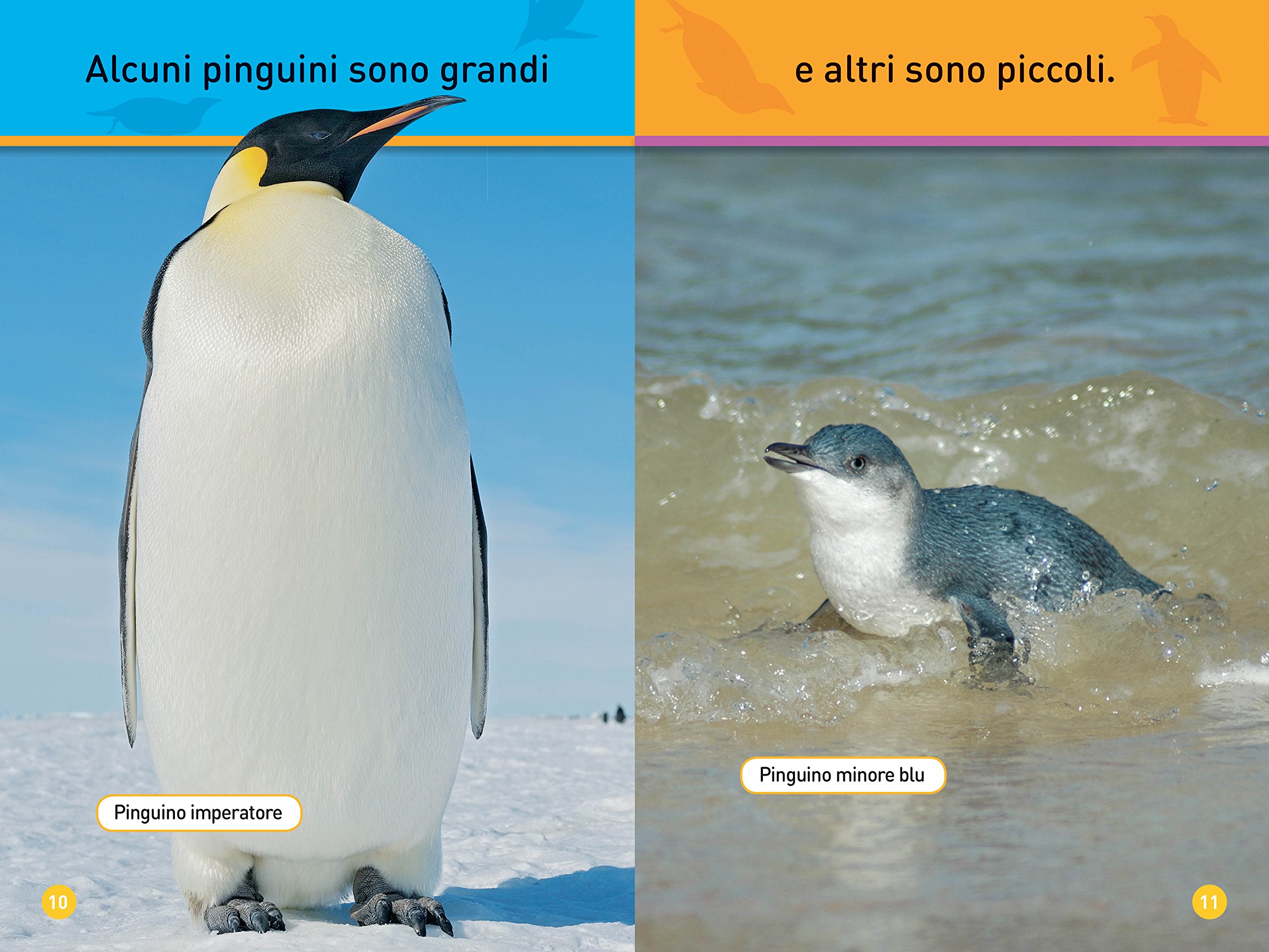 National Geographic Kids – Libri Il mio amico pinguino Primi passi libro