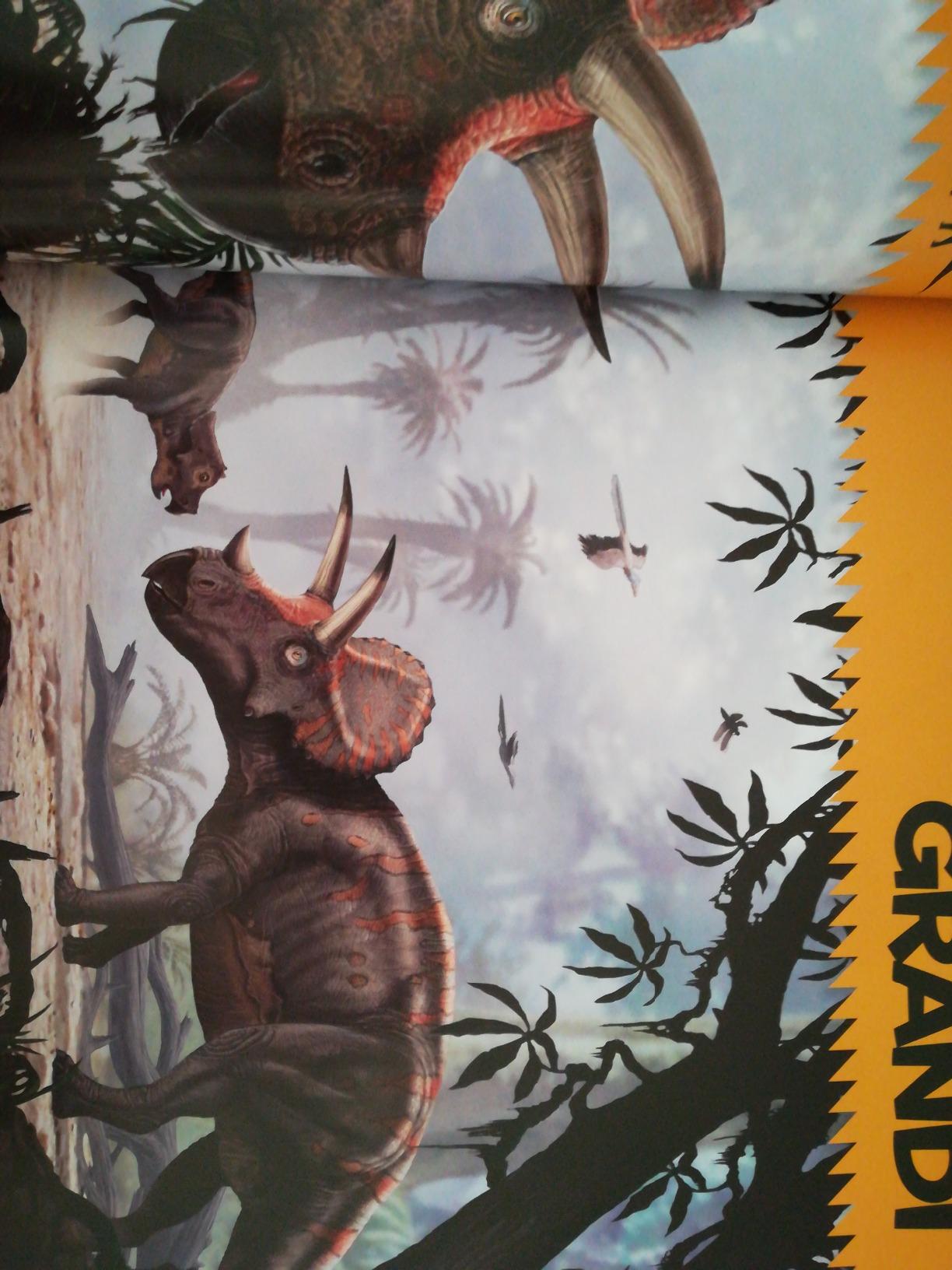 National Geographic Kids – Libri Il primo grande libro dei dinosauri libro illustrato