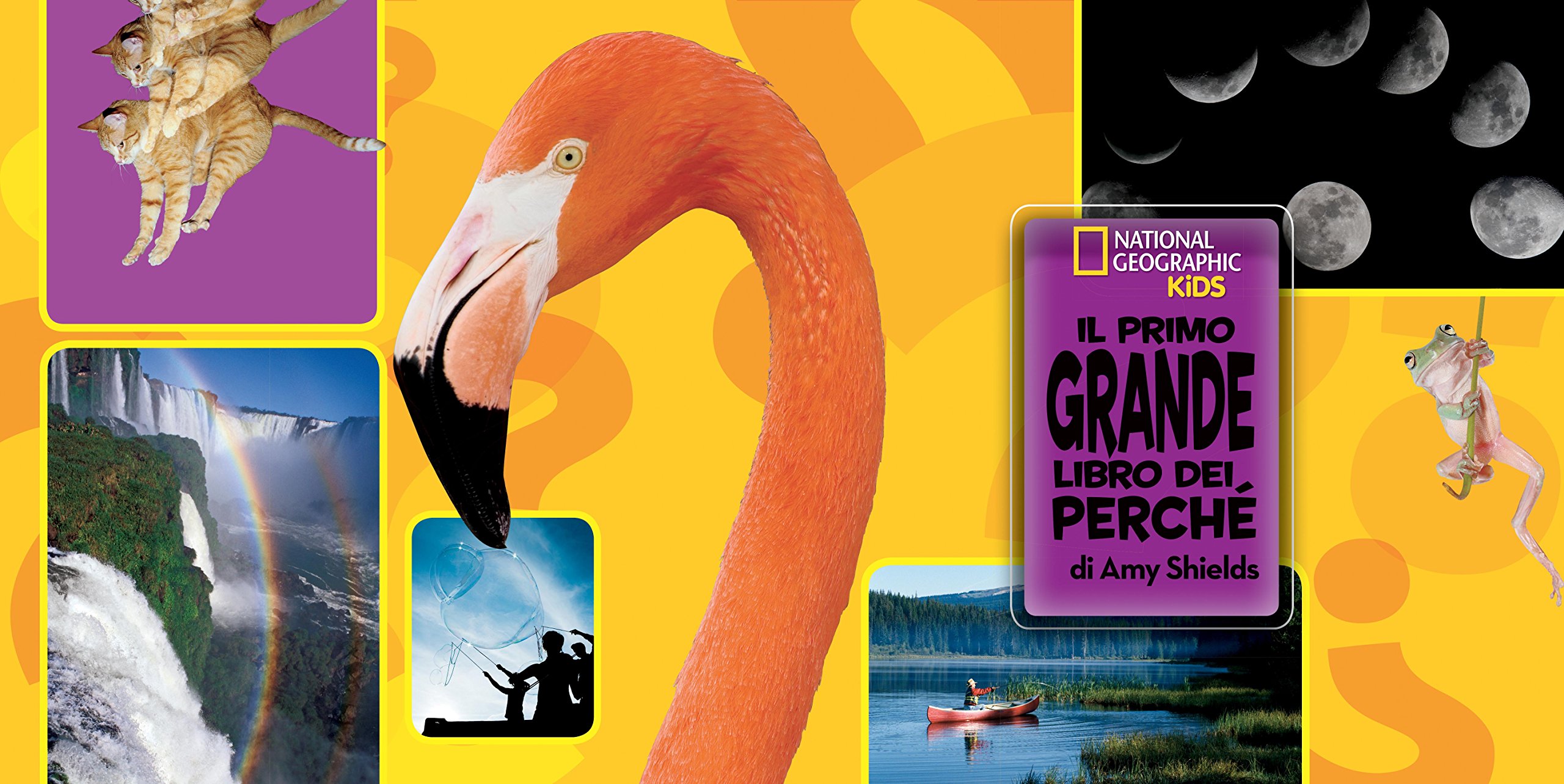 National Geographic Kids – Libri Il primo grande libro dei perché libro