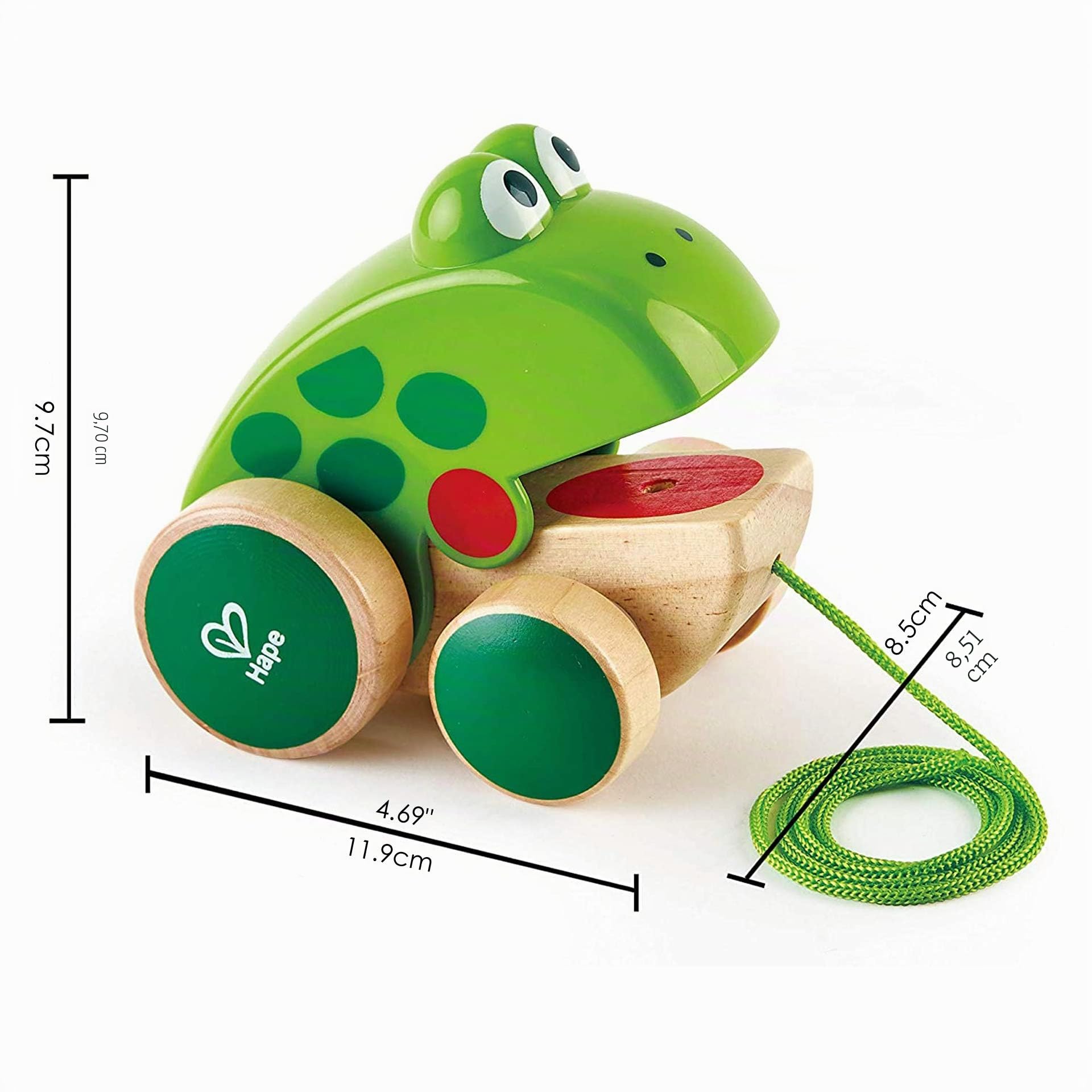 Hape Spingi e cammina Rana da tirare giocattolo in legno e ABS