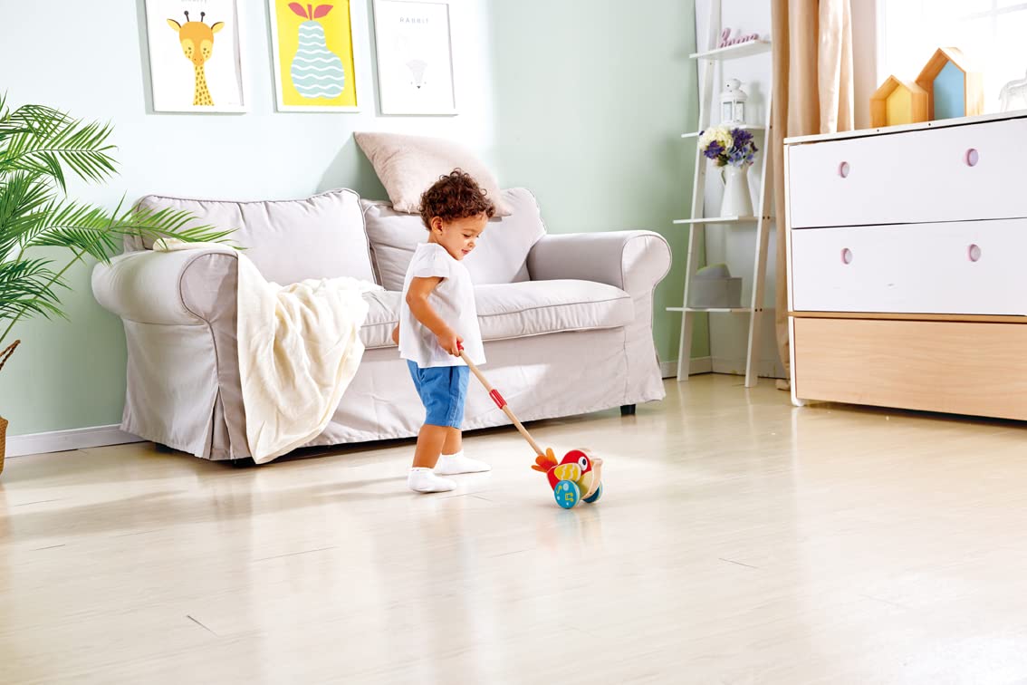 Hape Spingi e cammina Lilly uccellino musicale in legno