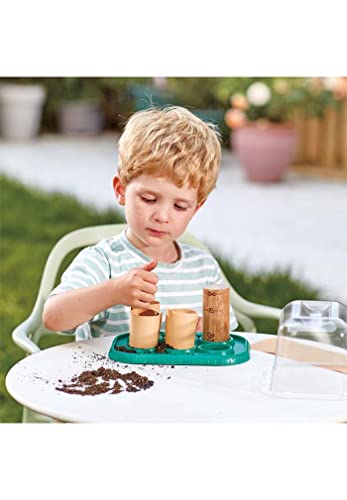 Hape Nature Fun Serra per piccoli giardinieri mini serra per semi