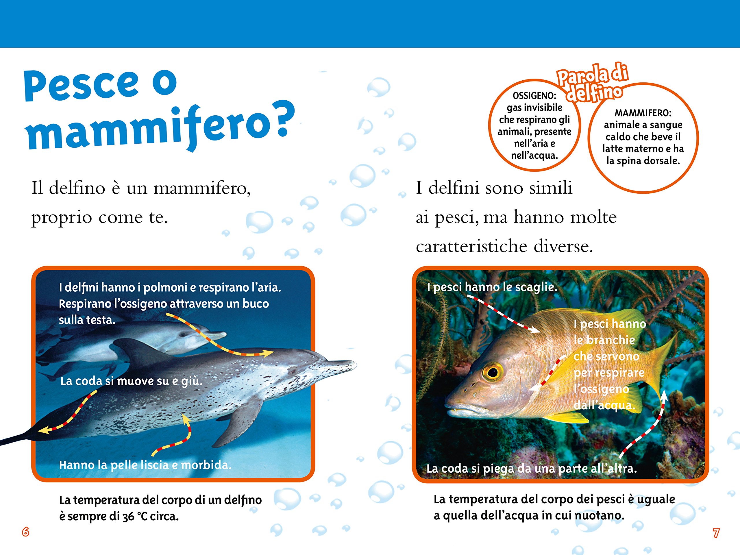 National Geographic Kids – Libri Delfini. Livello 3. Ediz. a colori libro