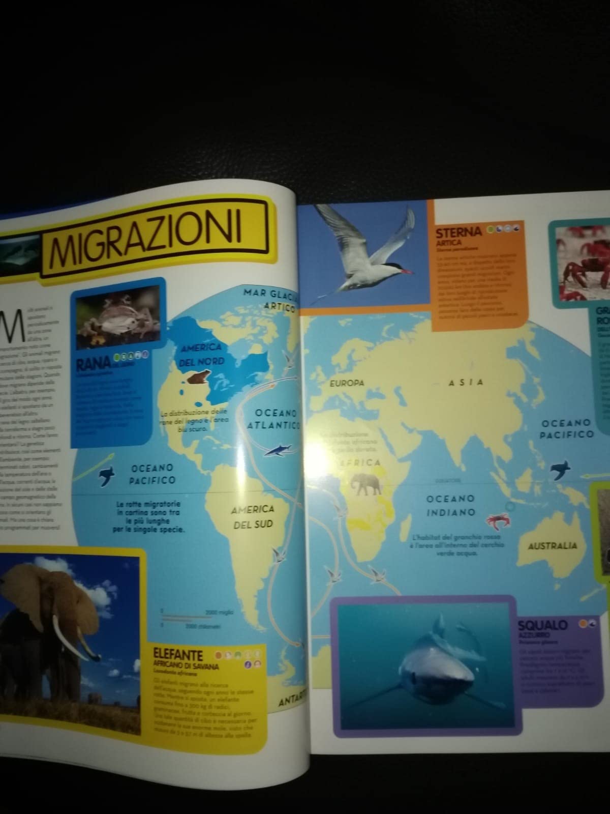 National Geographic Kids – Libri La Grande Enciclopedia Degli Animali guida illustrata