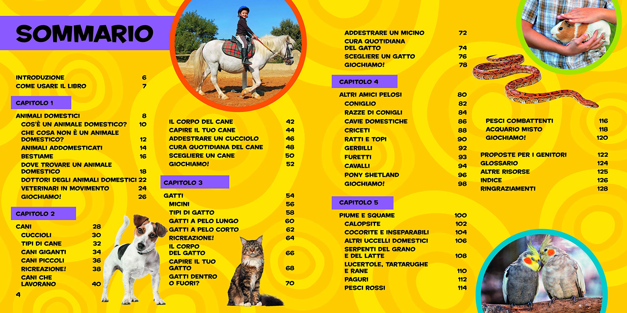 National Geographic Kids – Libri Il primo grande libro degli animali domestici