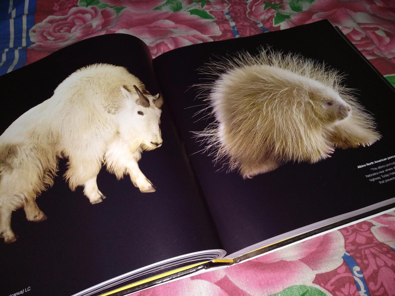 National Geographic – Libri The Photo Ark libro fotografico sugli animali