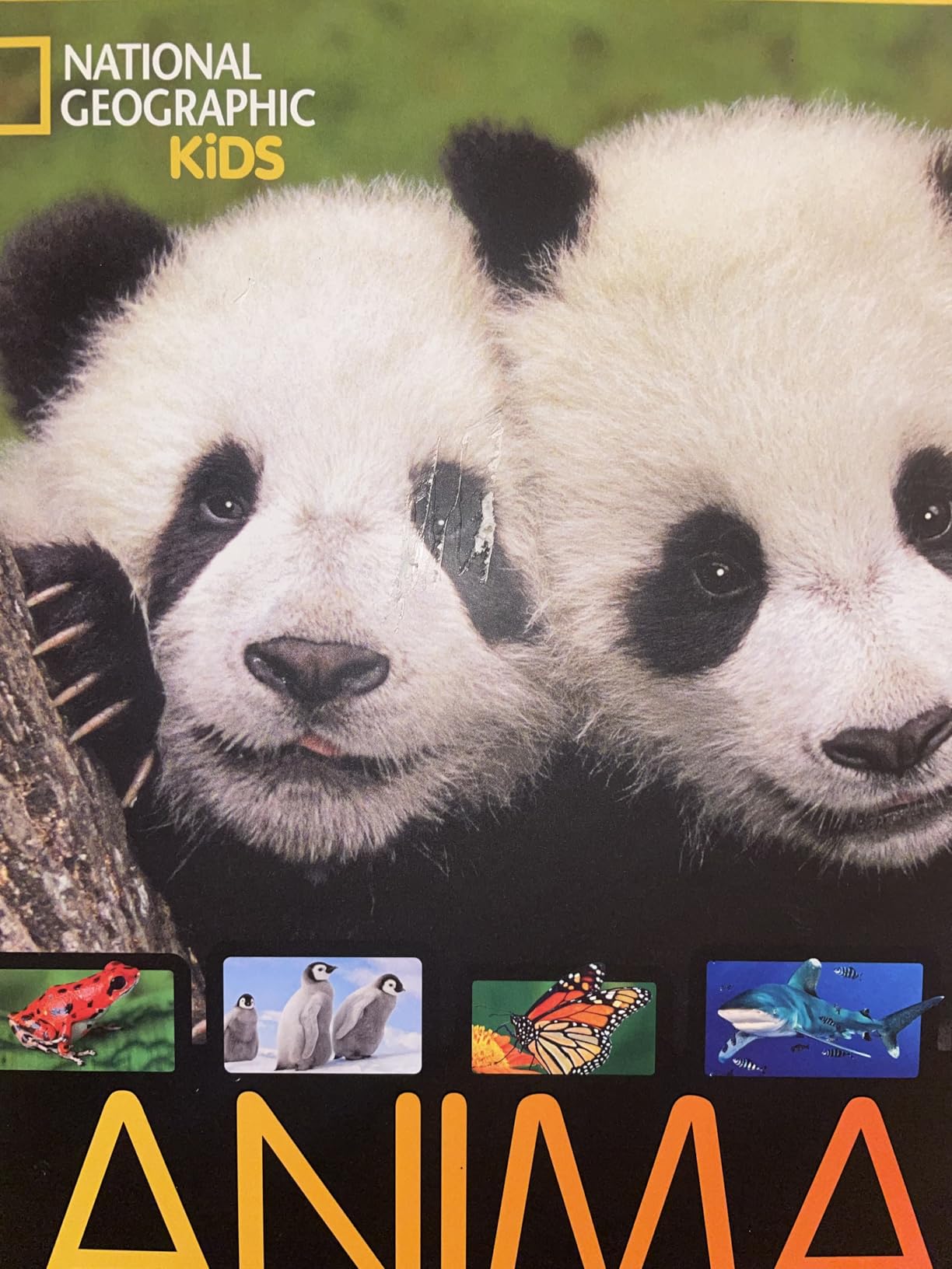 National Geographic Kids – Libri La Grande Enciclopedia Degli Animali guida illustrata