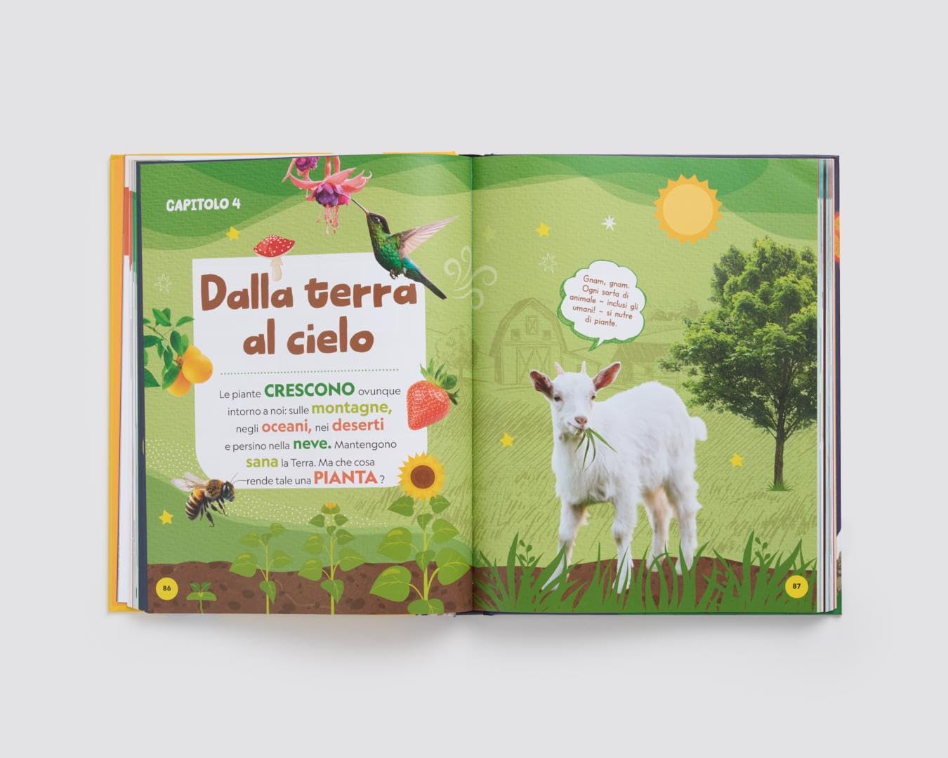 National Geographic Kids – Libri La mia prima grande enciclopedia. Ediz. a colori libro
