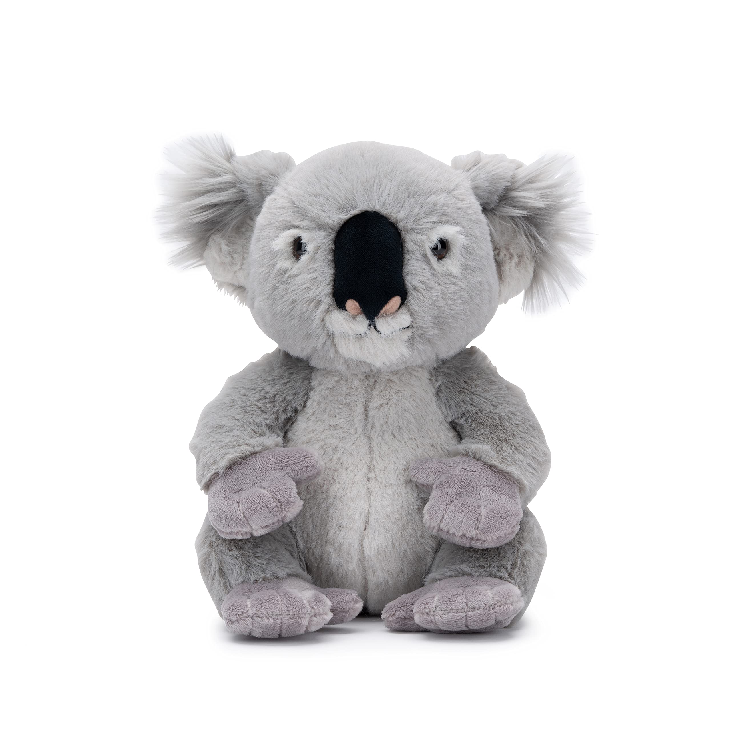 National Geographic Peluche e figurine Koala peluche 25 cm riciclato