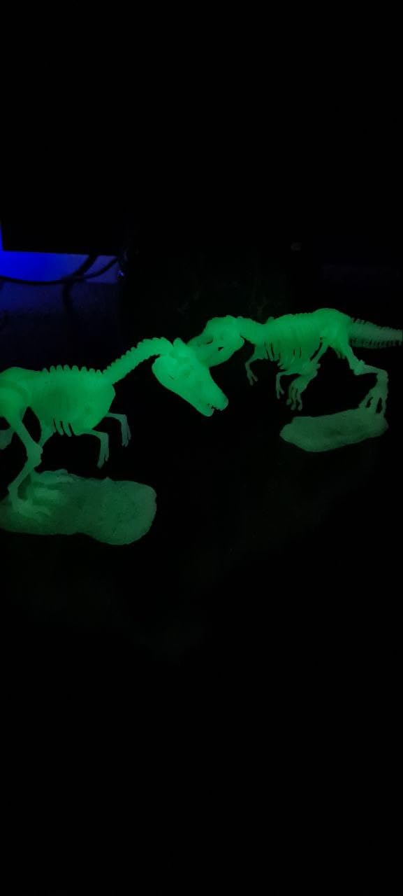 National Geographic Kit scientifici e di scoperta Scheletri Dinosauri Glow in the Dark kit fosforescente