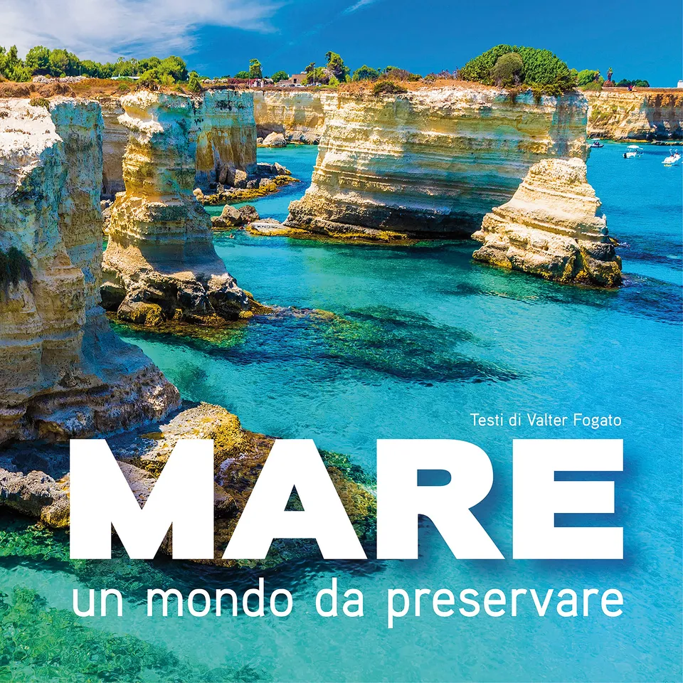 National Geographic – Libri Mare. Un mondo da preservare libro illustrato