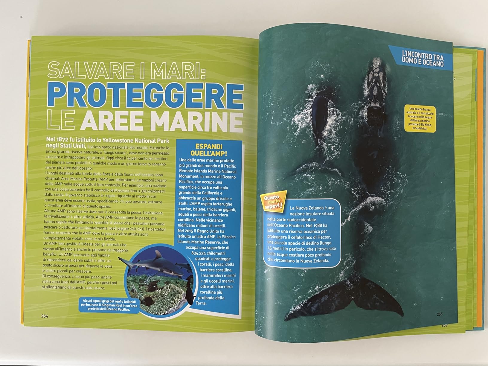 National Geographic Kids – Libri Enciclopedia Oceani libro illustrato