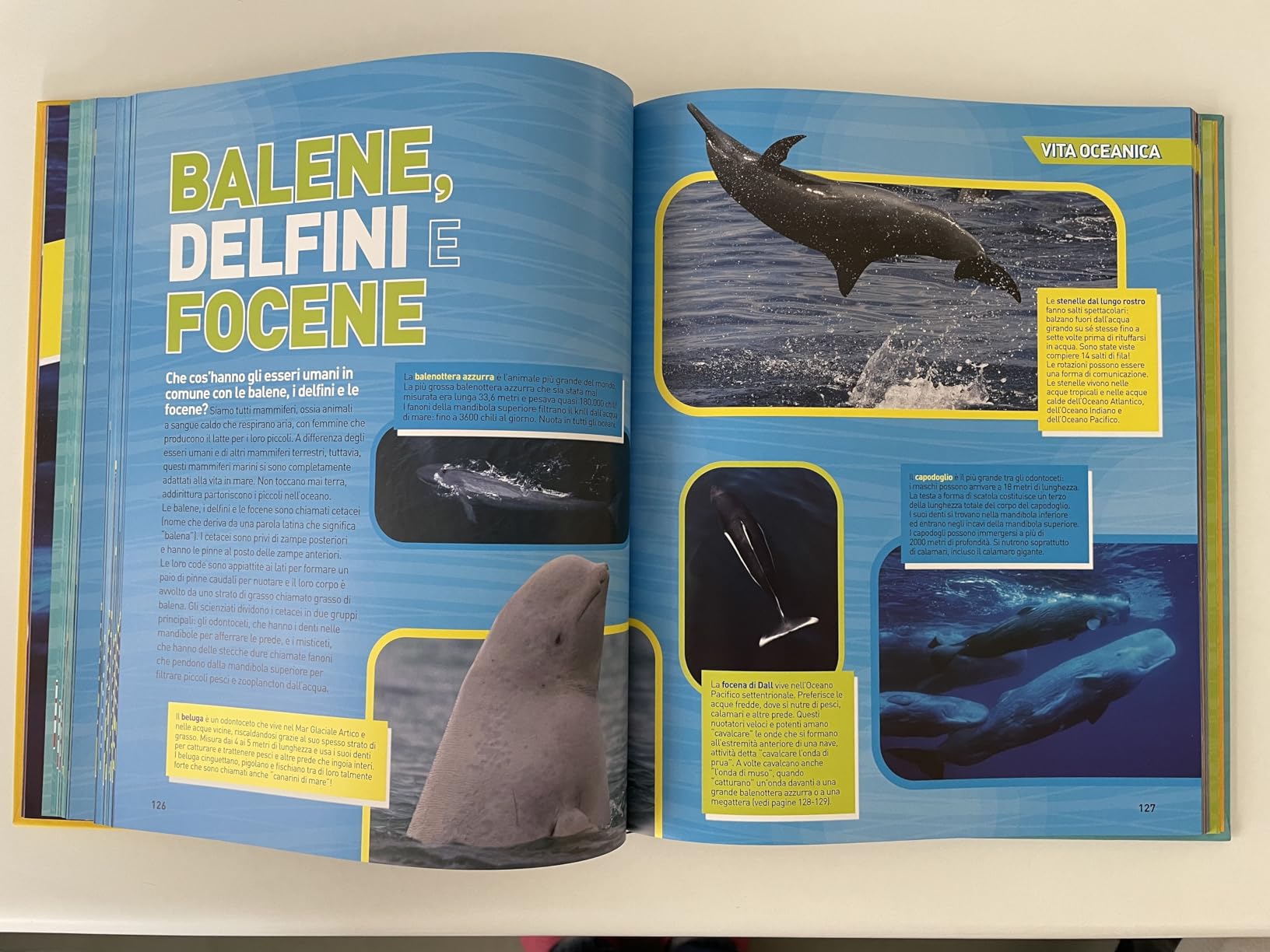 National Geographic Kids – Libri Enciclopedia Oceani libro illustrato