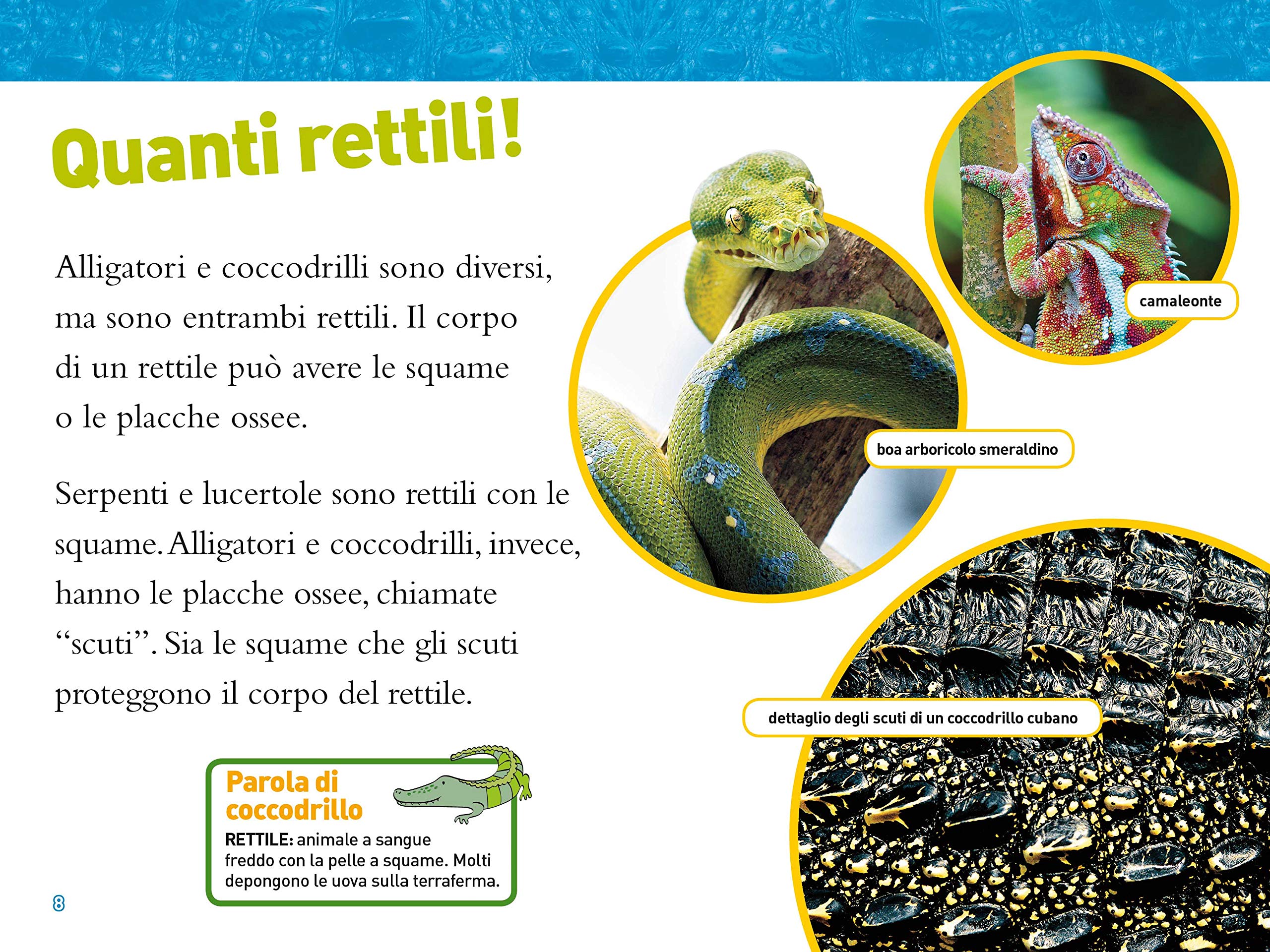 National Geographic National Geographic Kids – Libri Alligatori e coccodrilli. Livello 3. Diventa un super lettore libro