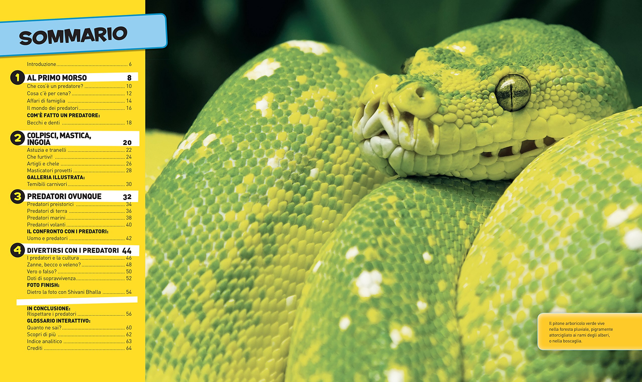 National Geographic Kids – Libri Tutto sui predatori. Ediz. a colori libro