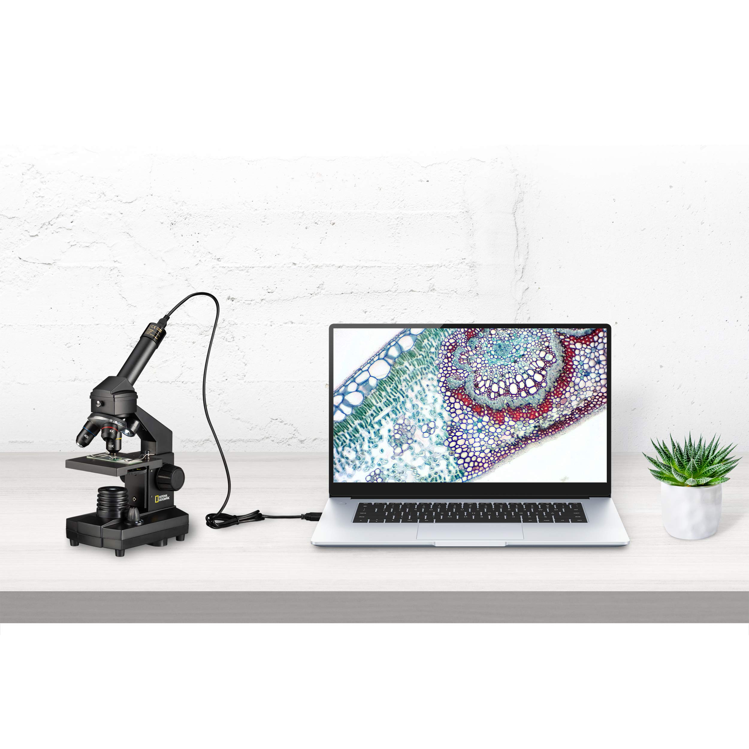 National Geographic Microscopi 9039100 microscopio 40x–1024x USB
