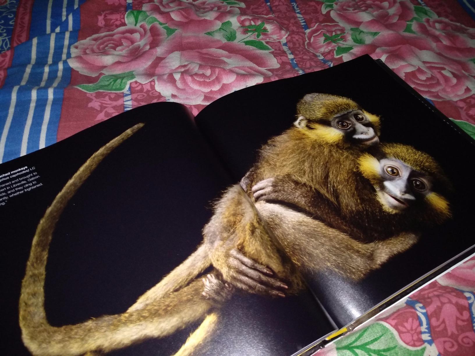 National Geographic – Libri The Photo Ark libro fotografico sugli animali