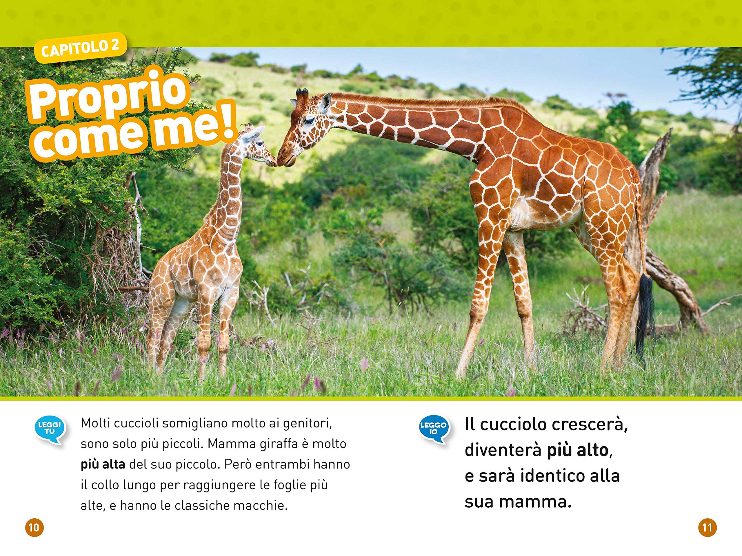 National Geographic Kids – Libri Da girino a rana. Come si trasformano gli animali. Livello 1. Diventa un super lettore libro a colori