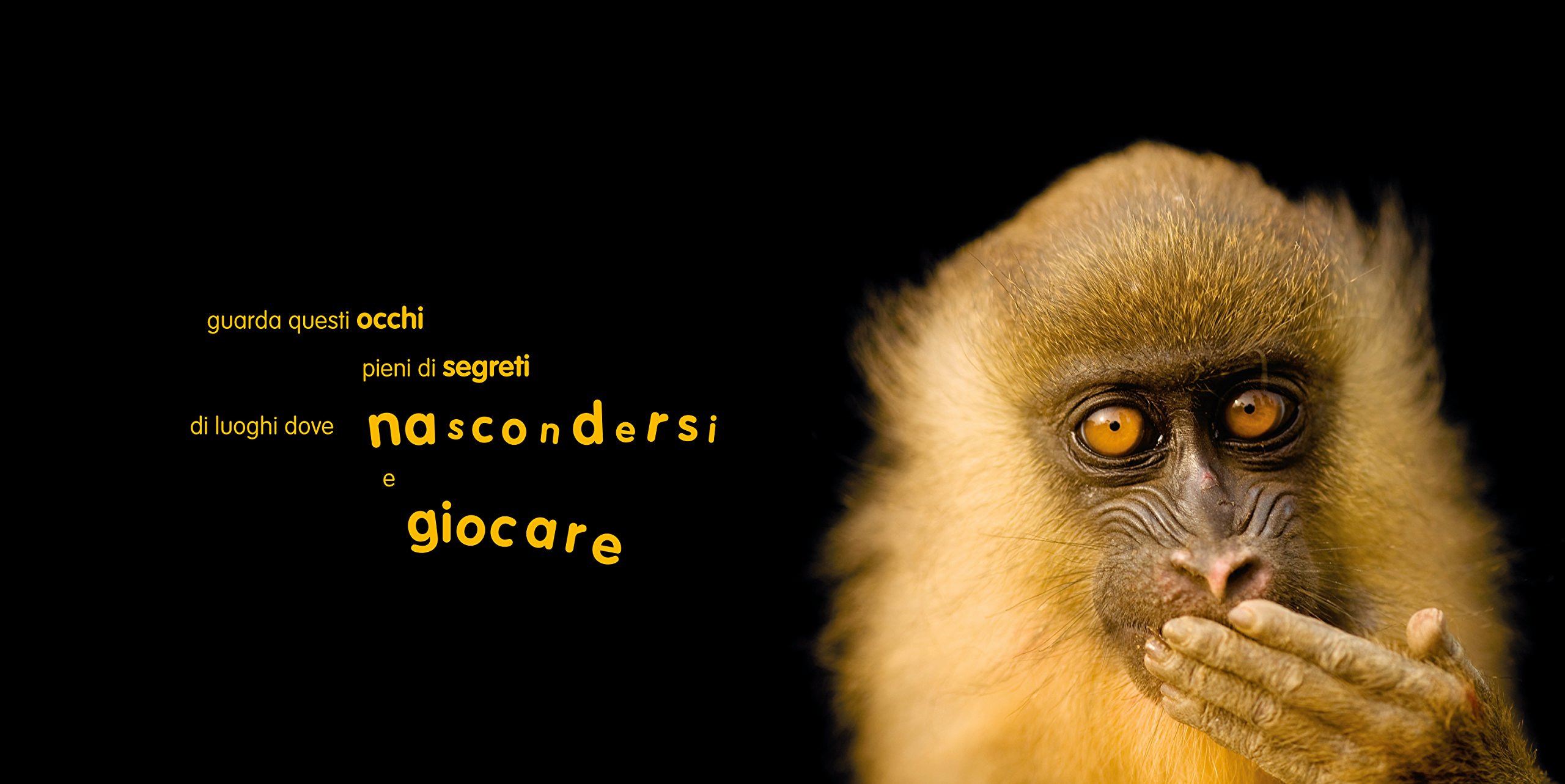 National Geographic Kids – Libri Animal Ark. Poesia e immagini per celebrare la natura. Ediz. a colori libro