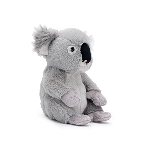 National Geographic Peluche e figurine Koala peluche 25 cm riciclato