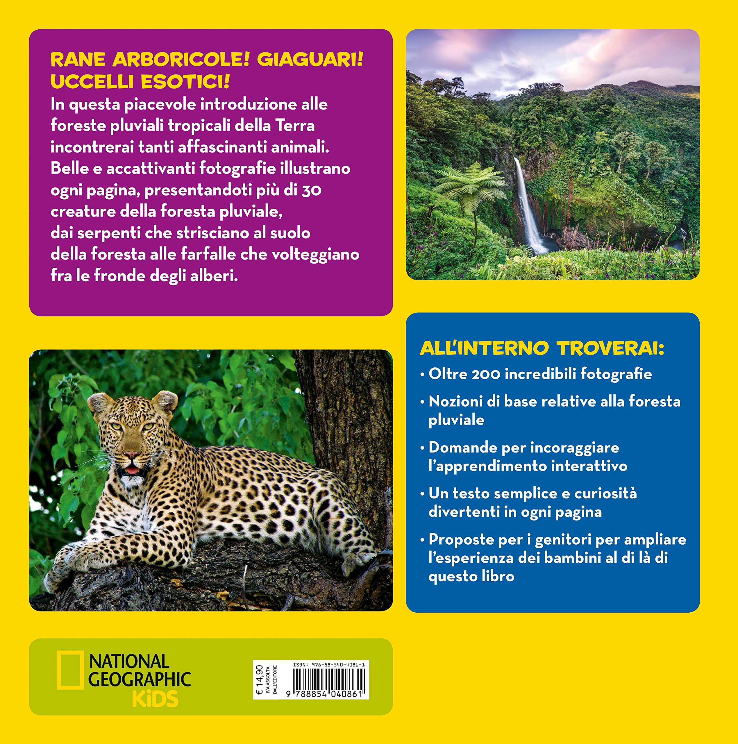 National Geographic Kids – Libri Il primo grande libro della foresta pluviale libro