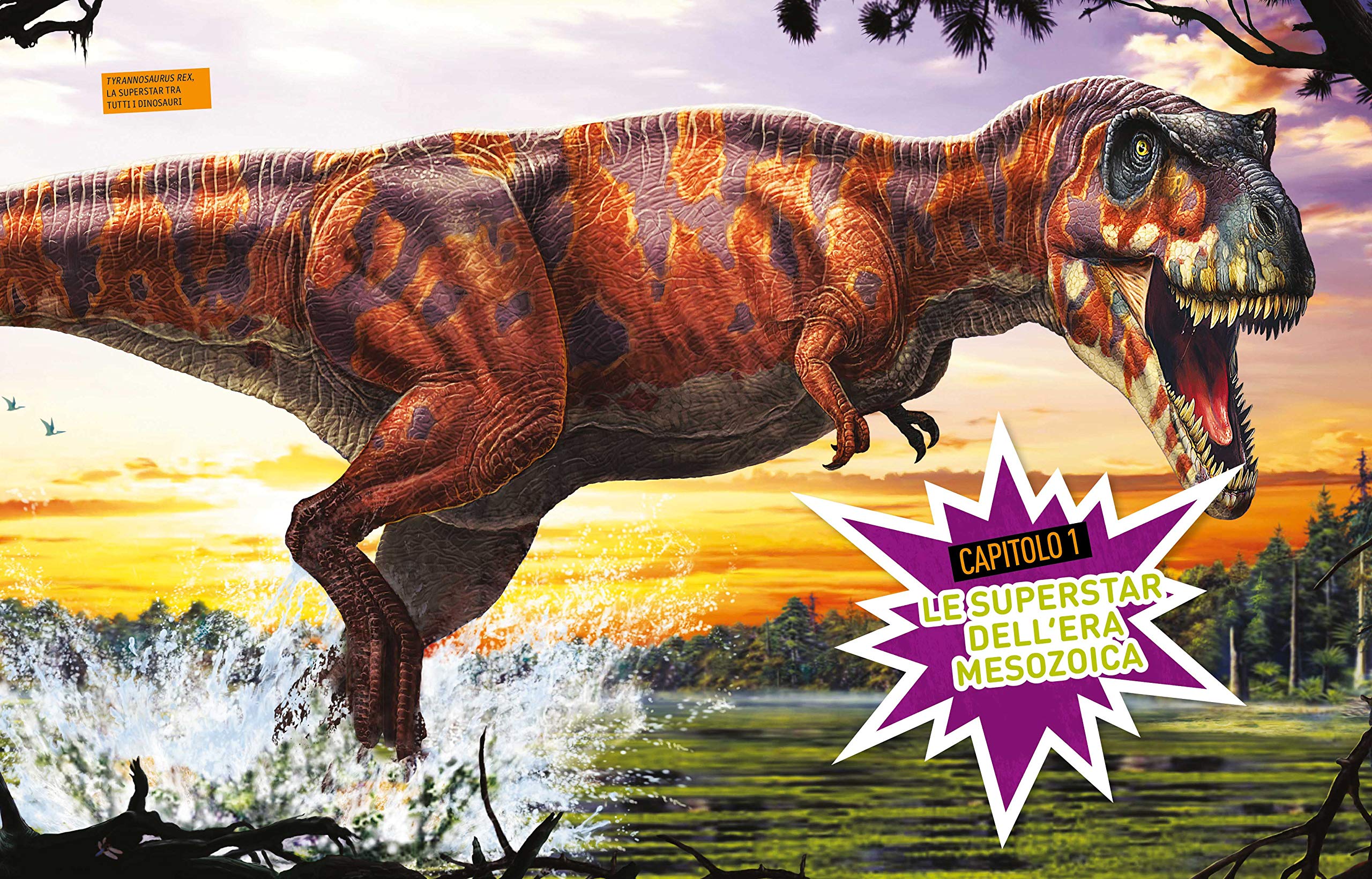National Geographic Kids – Libri Dinosauri Absolute expert libro