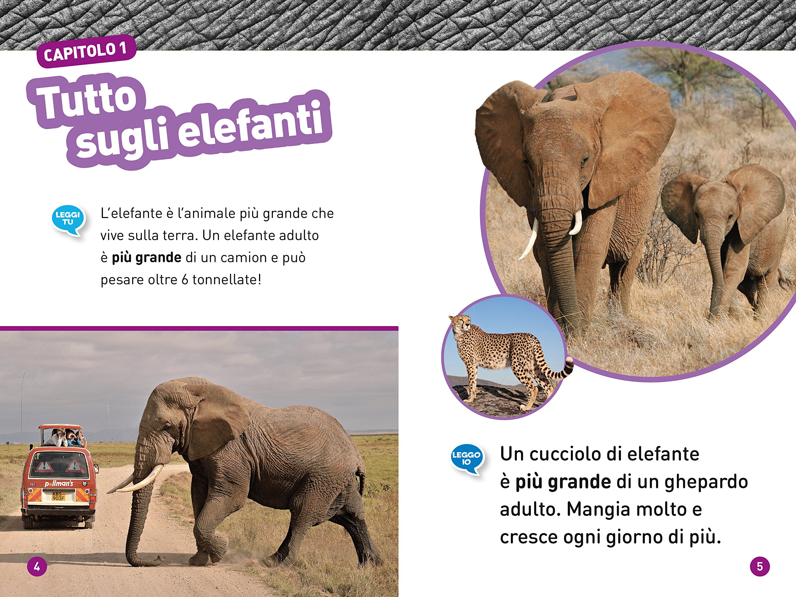 National Geographic Kids – Libri Elefanti. Livello 1. Ediz. a colori libro