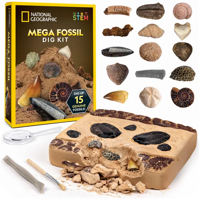 National Geographic Kit scientifici e di scoperta NGSUPERFOS kit di scavo fossili 15 fossili