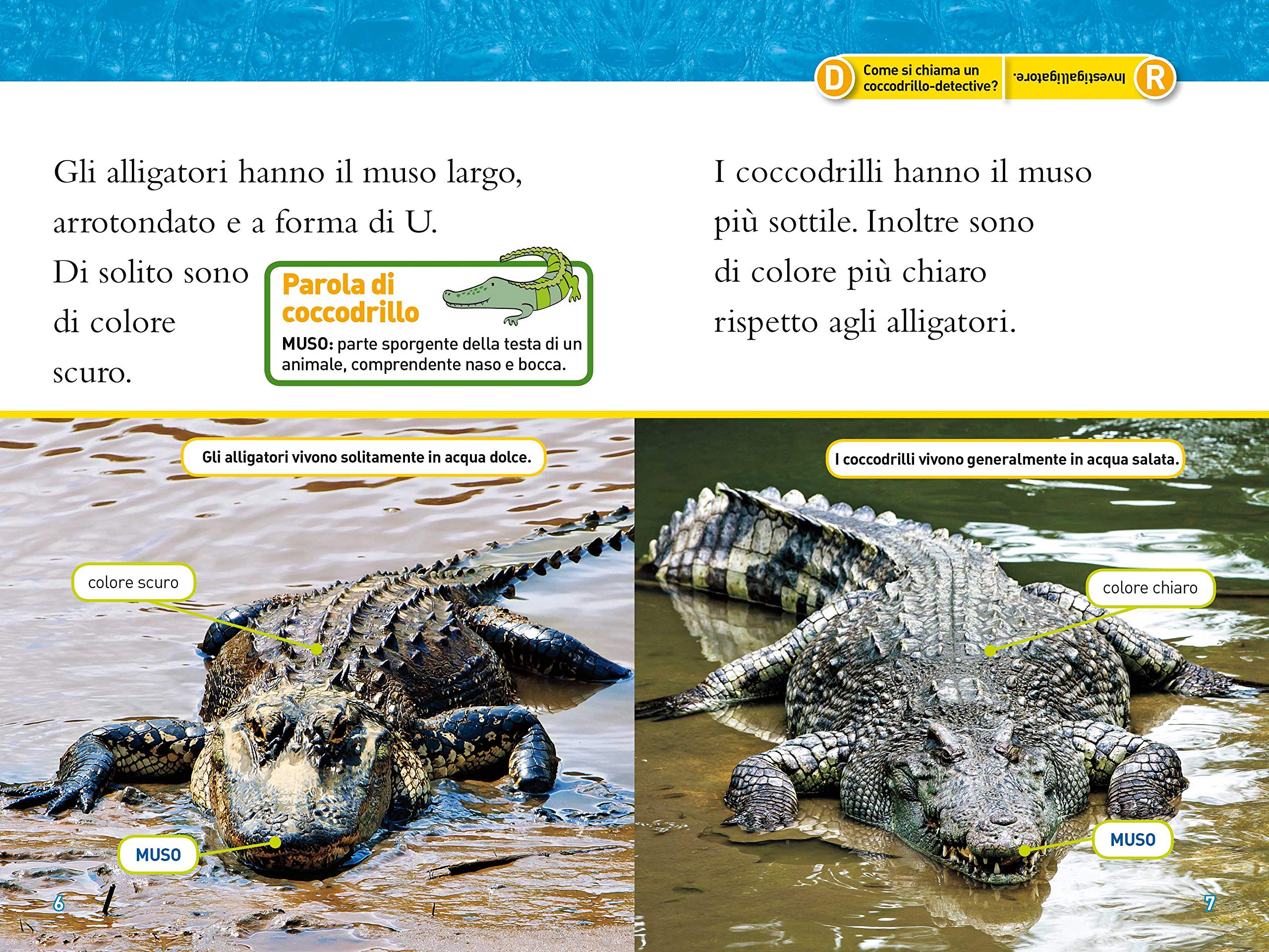 National Geographic National Geographic Kids – Libri Alligatori e coccodrilli. Livello 3. Diventa un super lettore libro