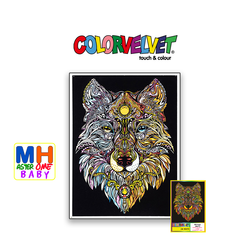 Colorvelvet Quadri-MAXI quadri da colorare