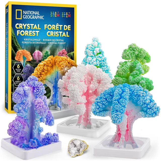 National Geographic Kit scientifici e di scoperta Kit Creativo per Coltivare 6 Alberi di Cristallo