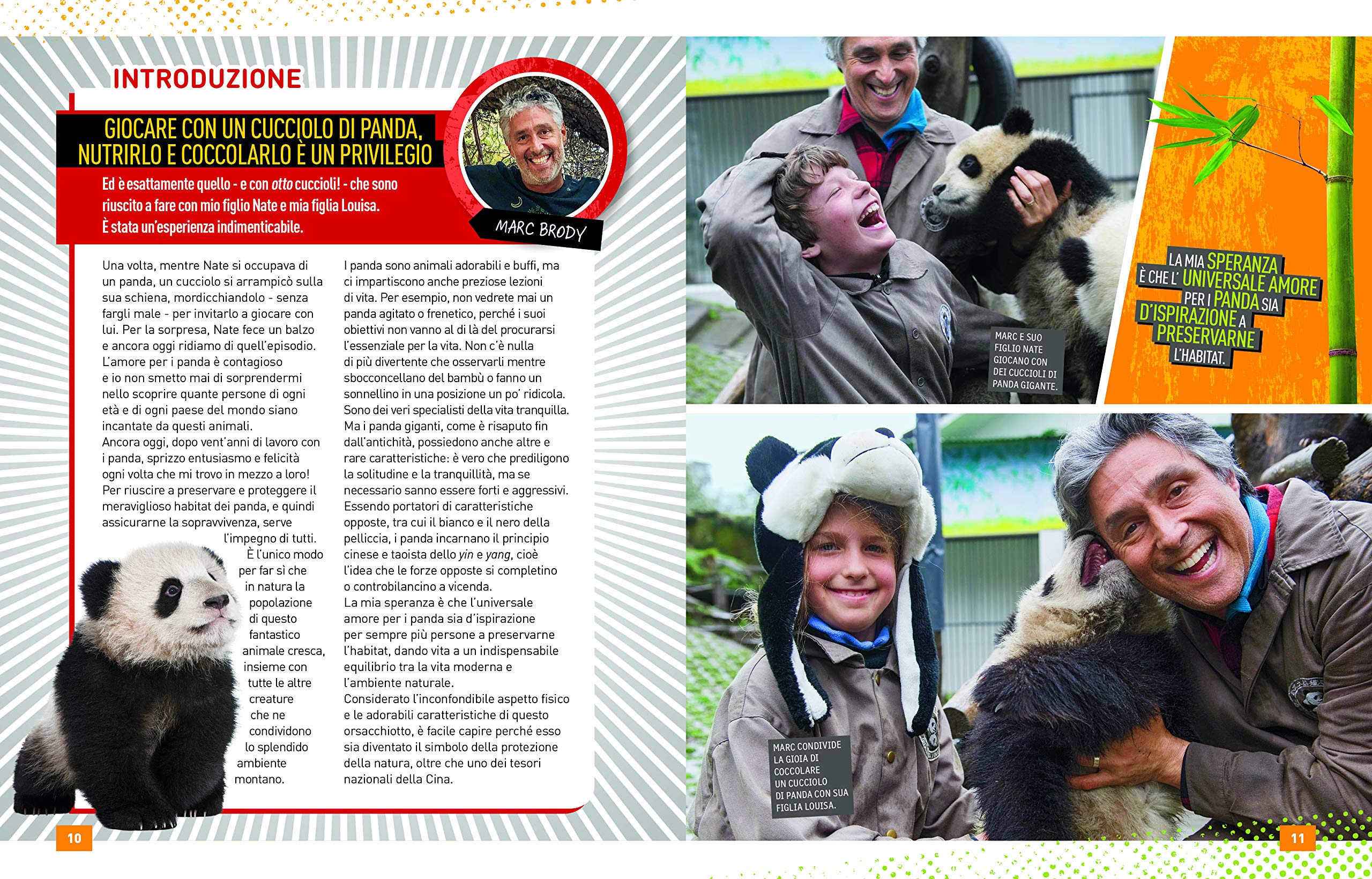 National Geographic Kids – Libri Panda Absolute expert libro