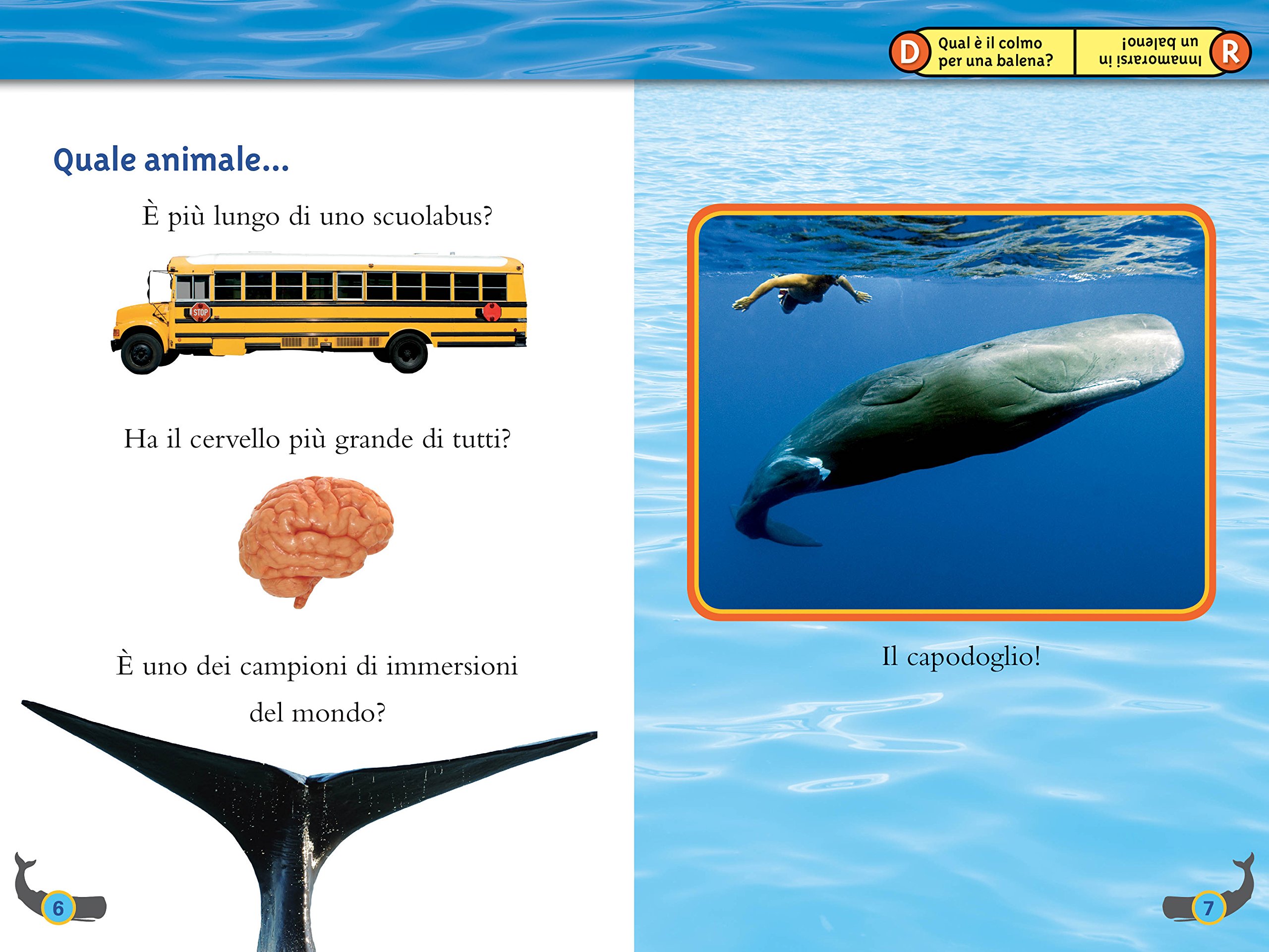 National Geographic Kids – Libri Balene. Livello 4 libro a colori