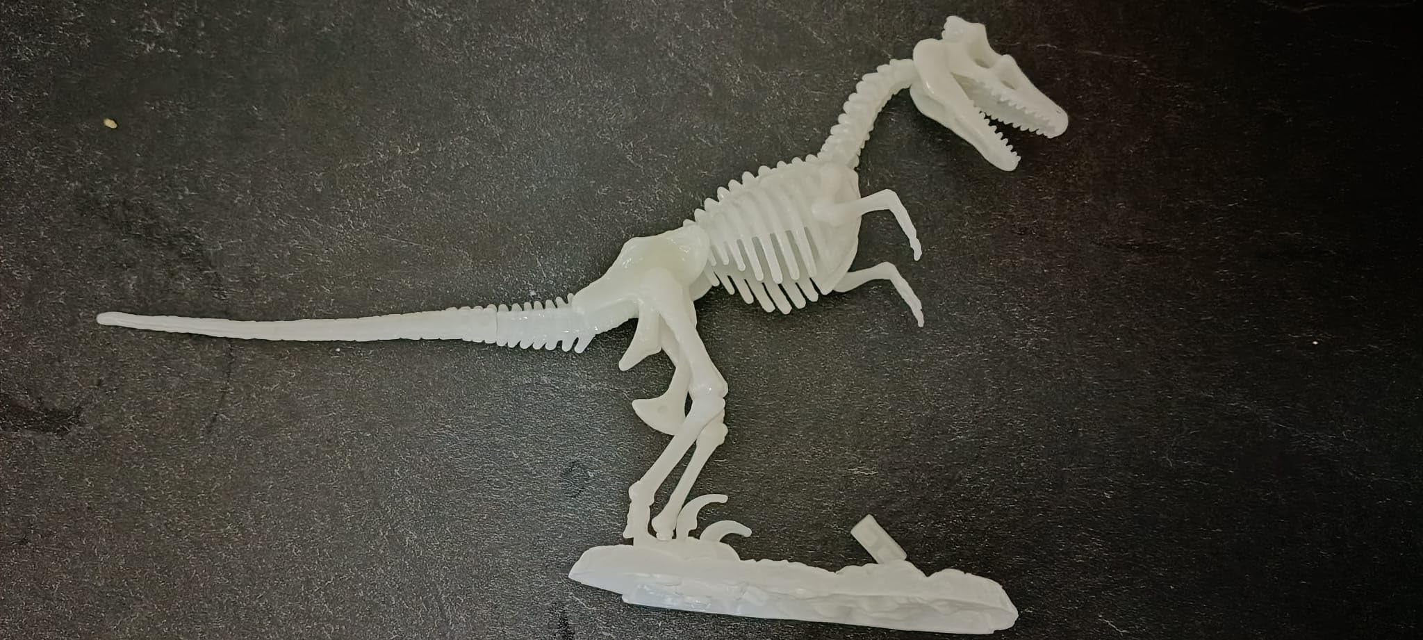 National Geographic Kit scientifici e di scoperta Scheletri Dinosauri Glow in the Dark kit fosforescente