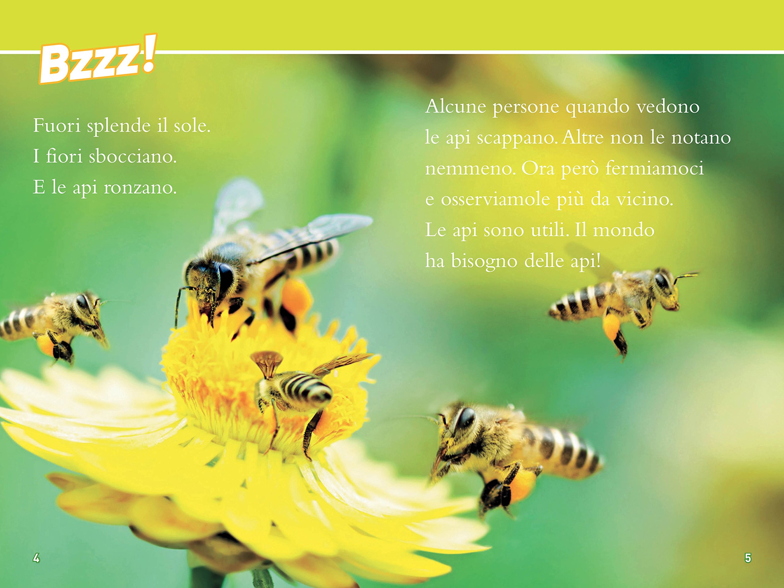 National Geographic Kids – Libri Api. Livello 3. Ediz. a colori