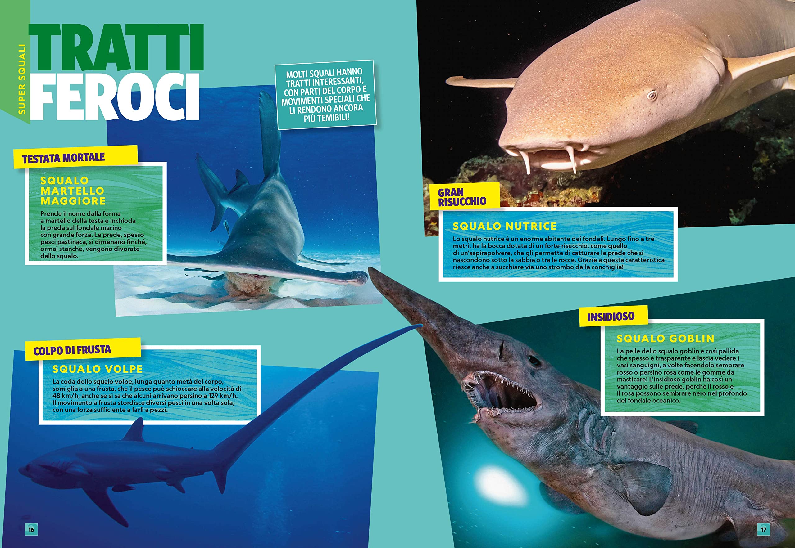 National Geographic Kids – Libri A ciascuno il suo squalo! libro