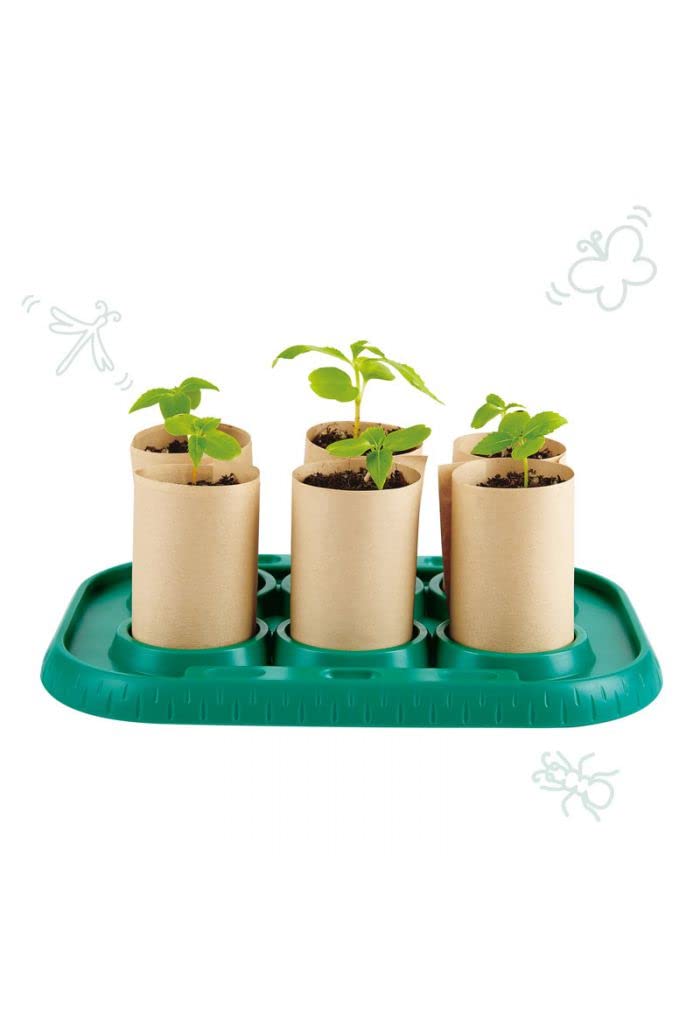 Hape Nature Fun Serra per piccoli giardinieri mini serra per semi