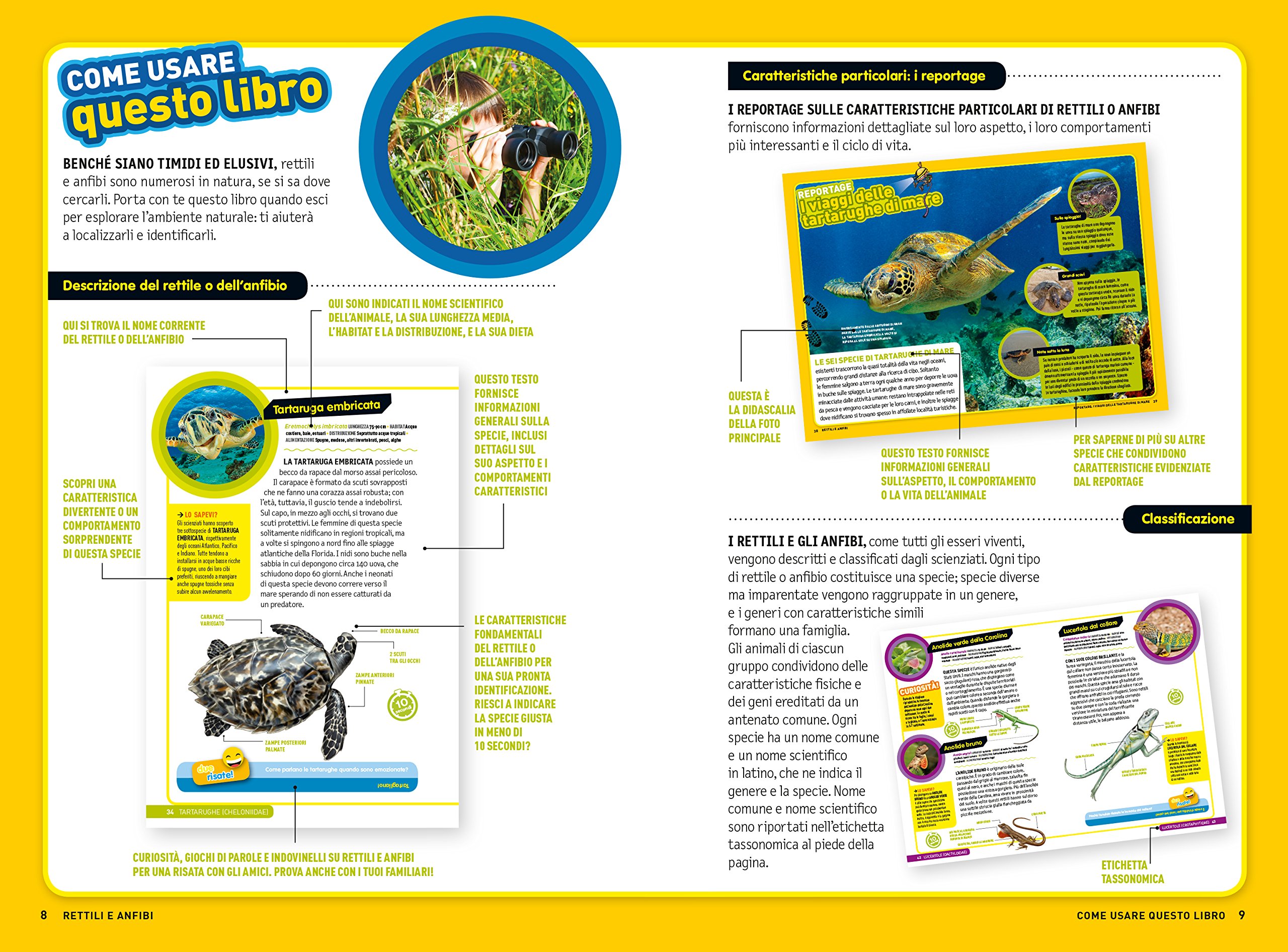 National Geographic National Geographic Kids – Libri Rettili e anfibi. Cerca l'avventura! Divertiti! Ediz. a colori libro