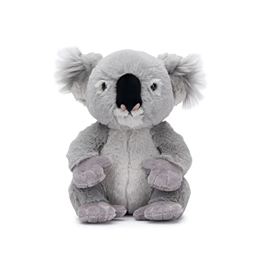 National Geographic Peluche e figurine Koala peluche 25 cm riciclato