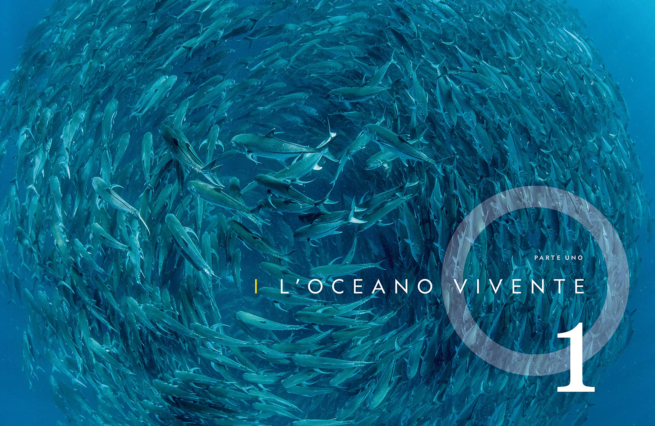 National Geographic – Libri NATURA E POPOLI - Oceani: L'ultima odissea libro illustrato