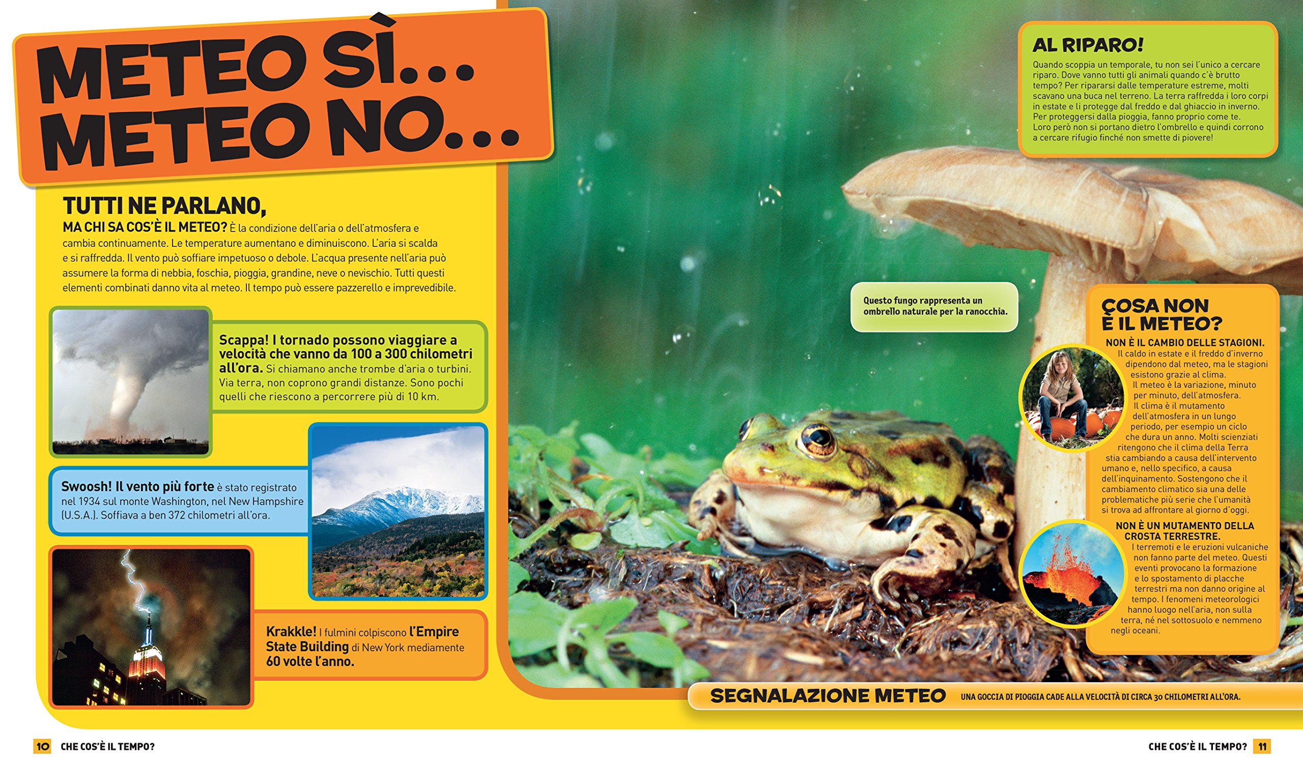 National Geographic Kids Tutto sulla meteorologia libro